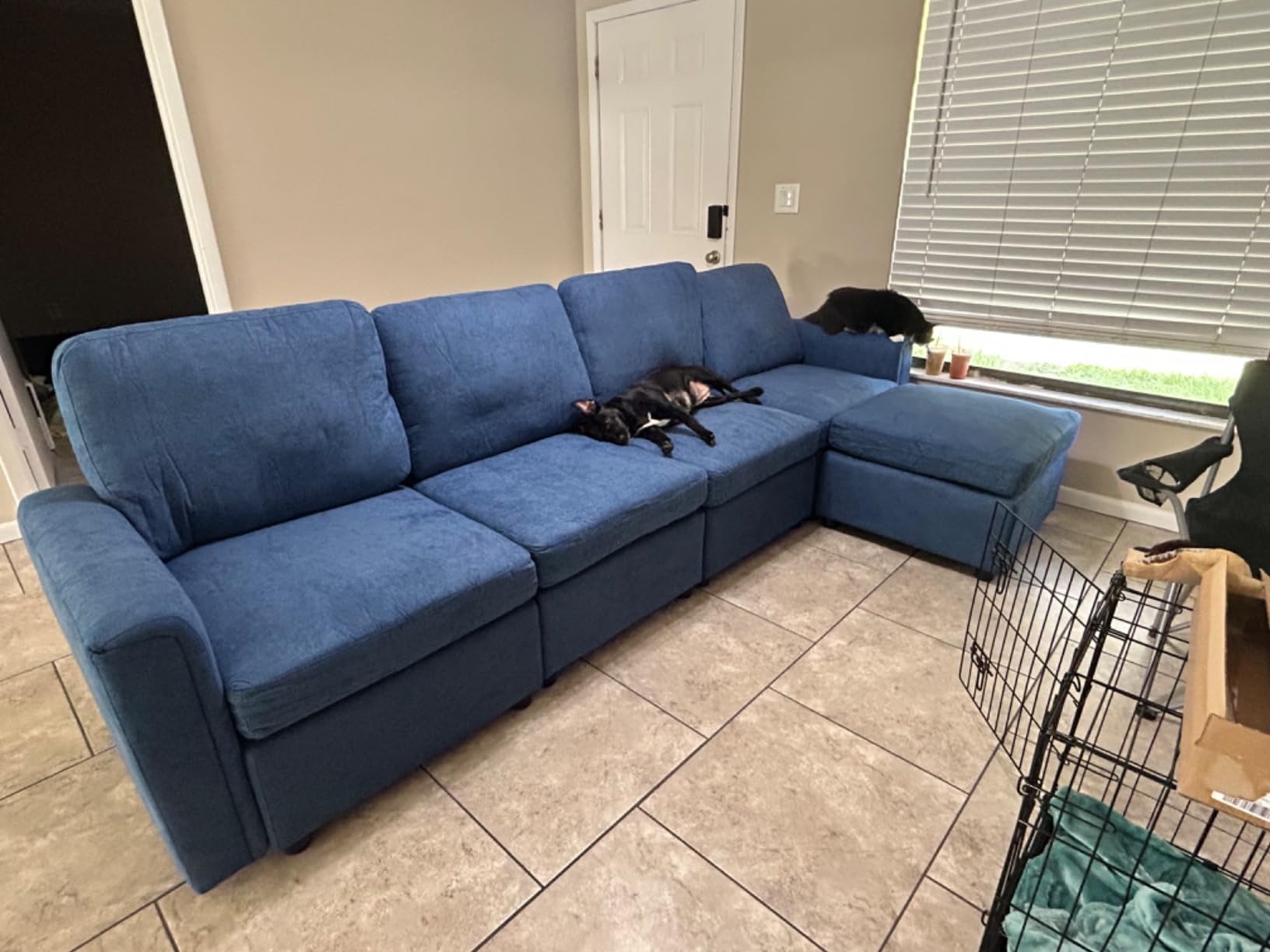 LINSY HOME Sectional Couch with Pull Out Bed, 81