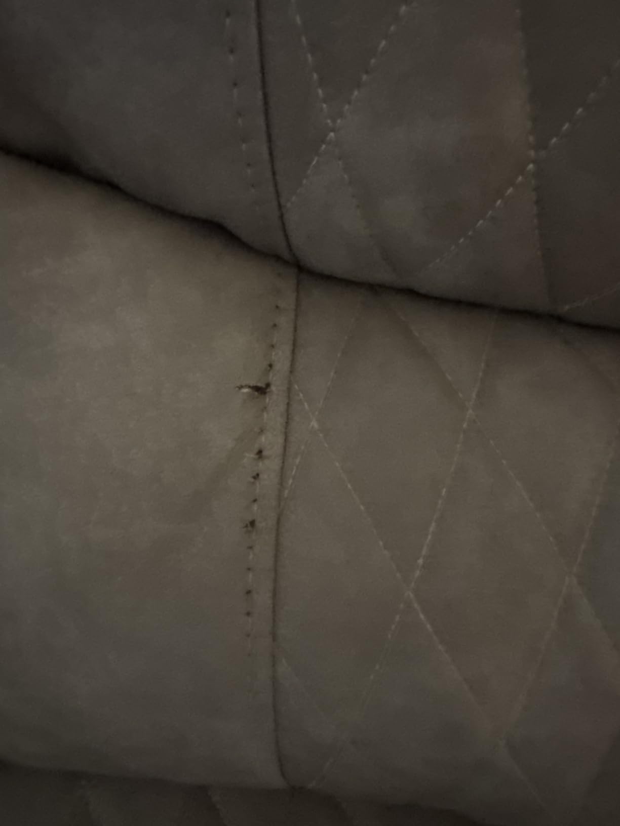 Leather Power Reclining Sectional Sofa Set with Bass Speakers & USB Ports customer photo 1