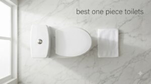 best one piece toilets