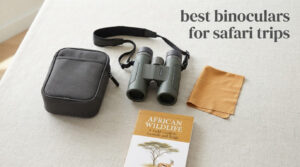 best binoculars for safari trips