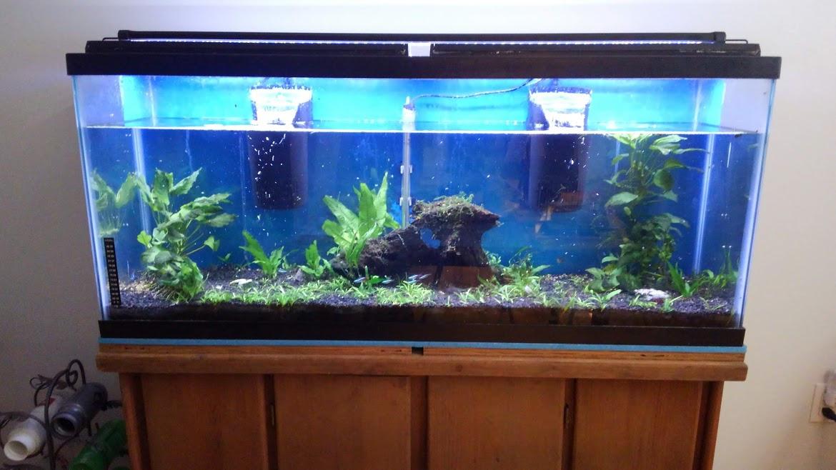 Tetra Whisper 85 GPH Internal Power Filter For Aquariums customer photo 1