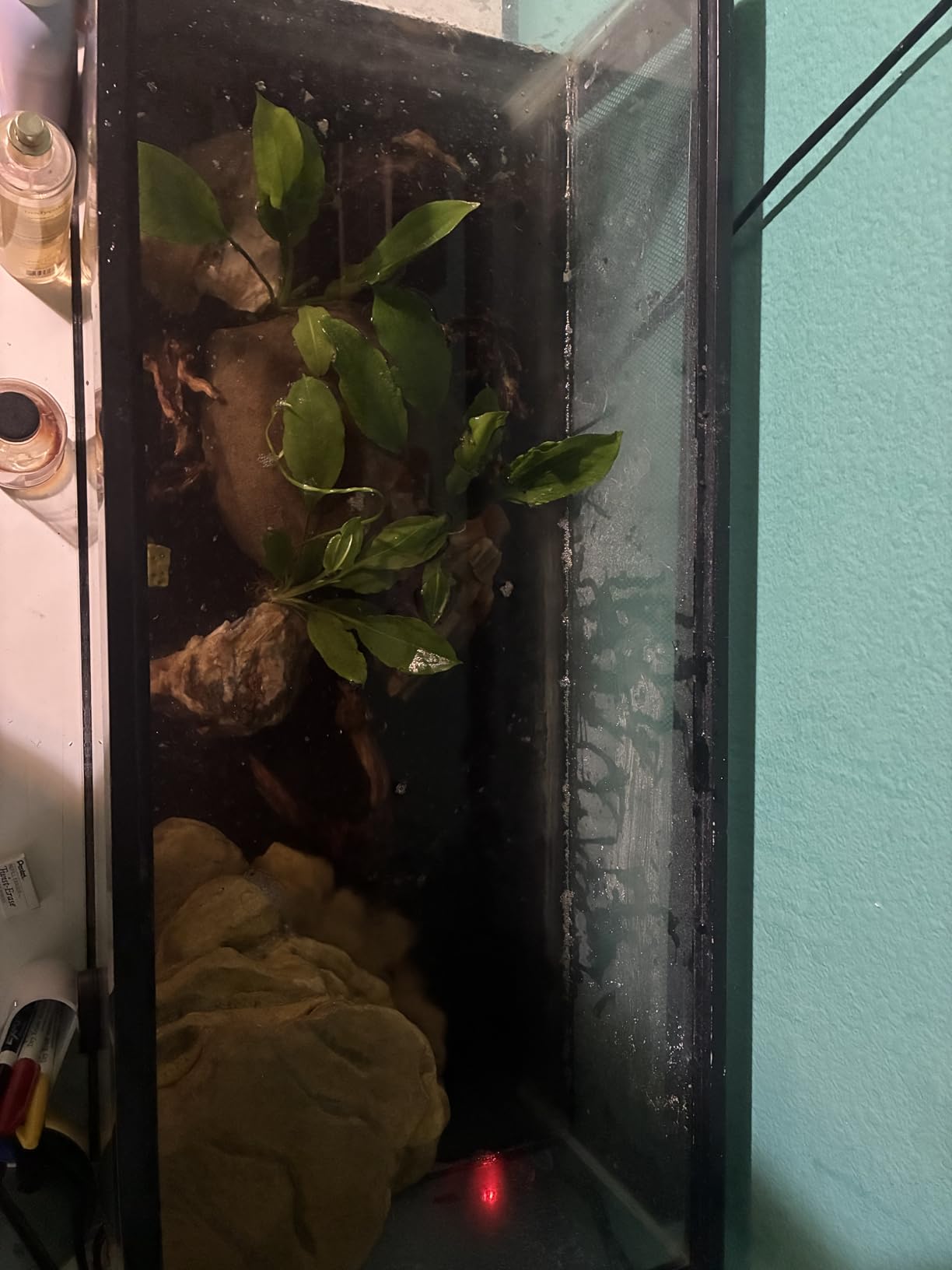 Tetra Decorative ReptoFilter Terrarium Filter For Frogs, Newts & Turtles customer photo 1
