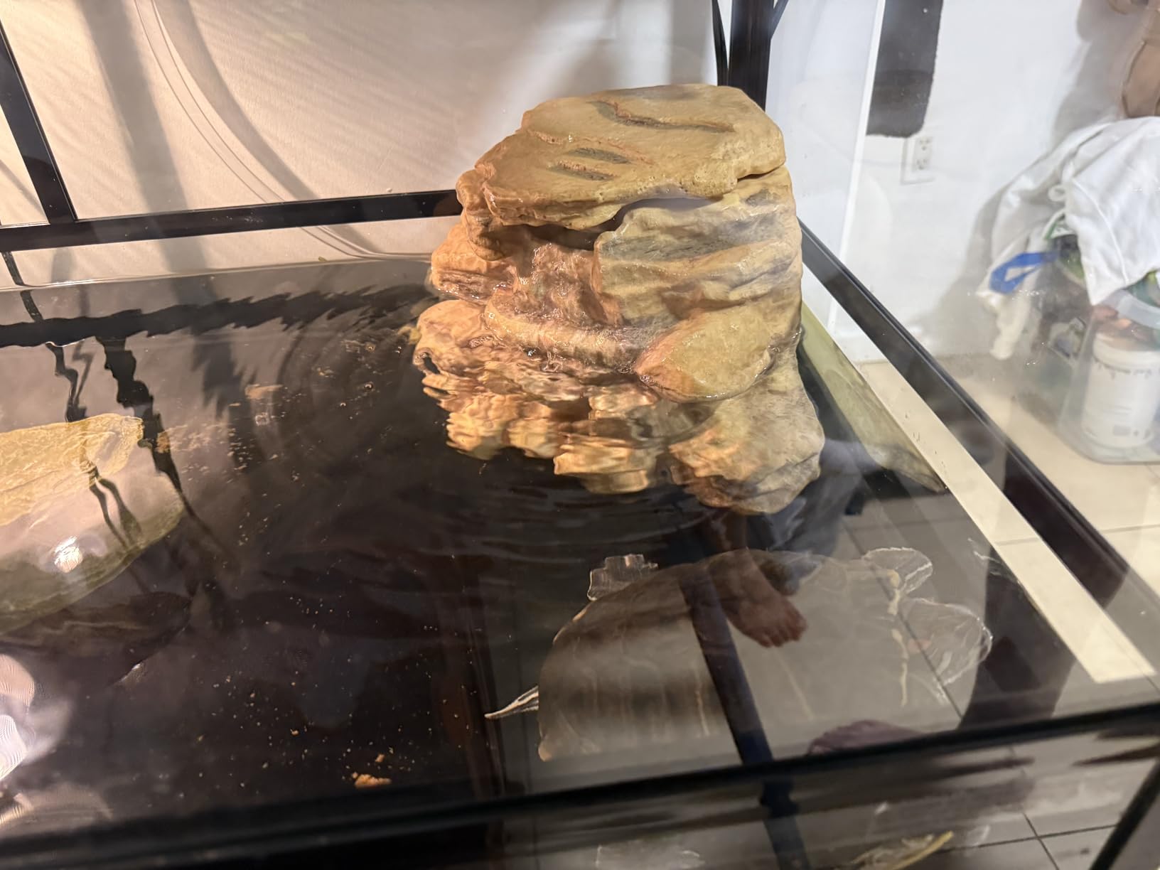 Tetra Decorative ReptoFilter Terrarium Filter For Frogs, Newts & Turtles customer photo 2