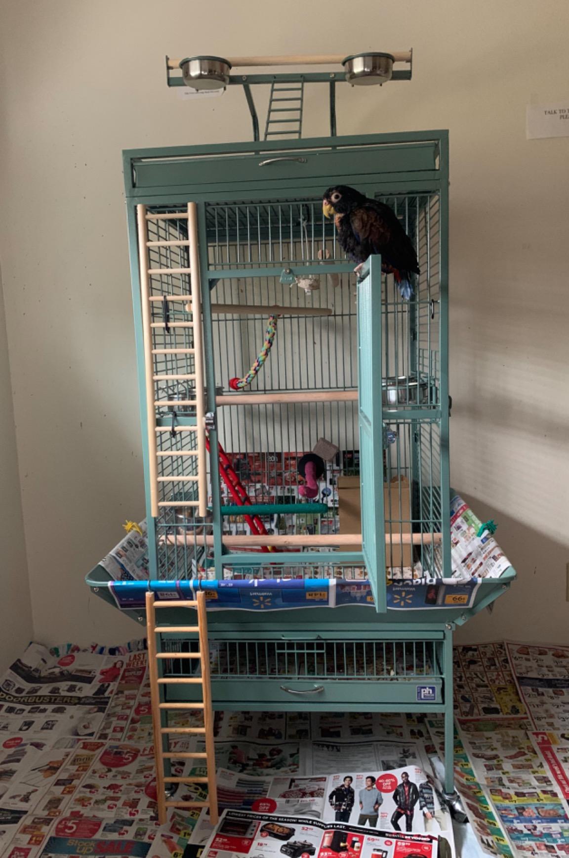 Prevue Pet Products Playtop Bird Home - L, Beige customer photo 1