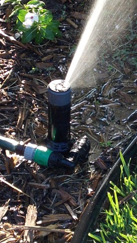 QSK-745 In-Ground 5-Inch Pop-Up Adjustable Sprinkler 5-Pack With Quick Hose Connectors And Splitters customer photo 1