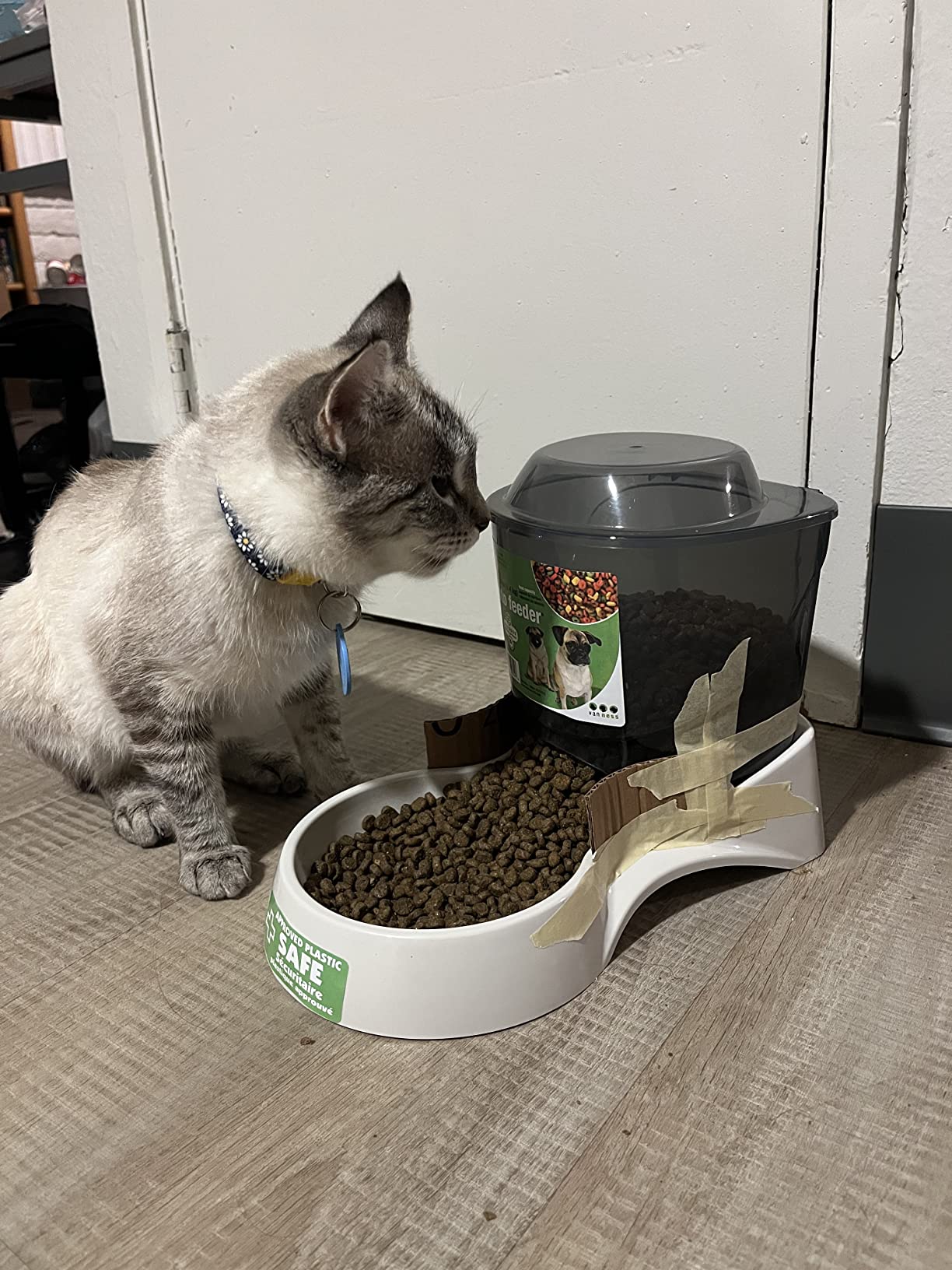 Van Ness Pets Extra Small Auto Gravity Feeder, 1.5 Pound Capacity for Dogs and Cats, White customer photo 1
