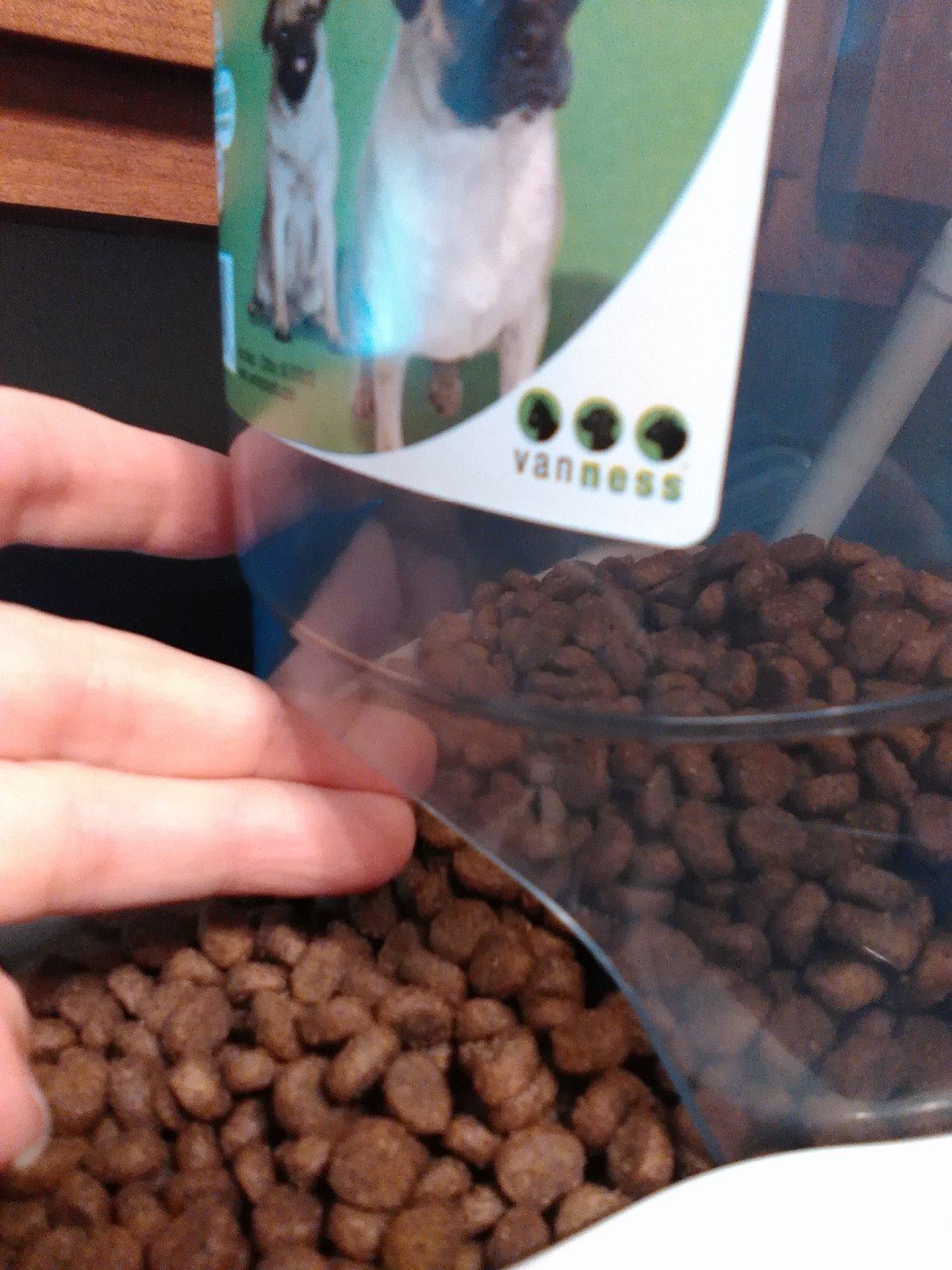 Van Ness Pets Extra Small Auto Gravity Feeder, 1.5 Pound Capacity for Dogs and Cats, White customer photo 2