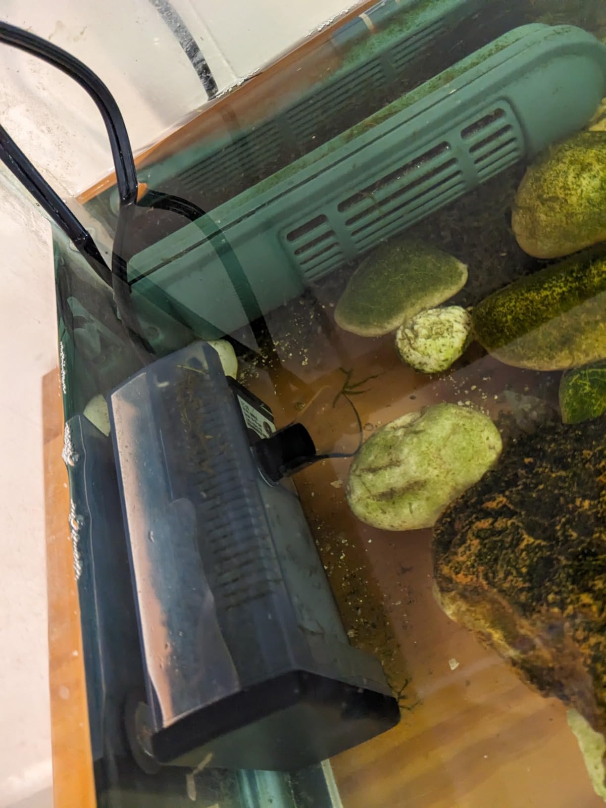 Zoo Med Save Your Reptiles Turtle Clean Filter 318 customer photo 2