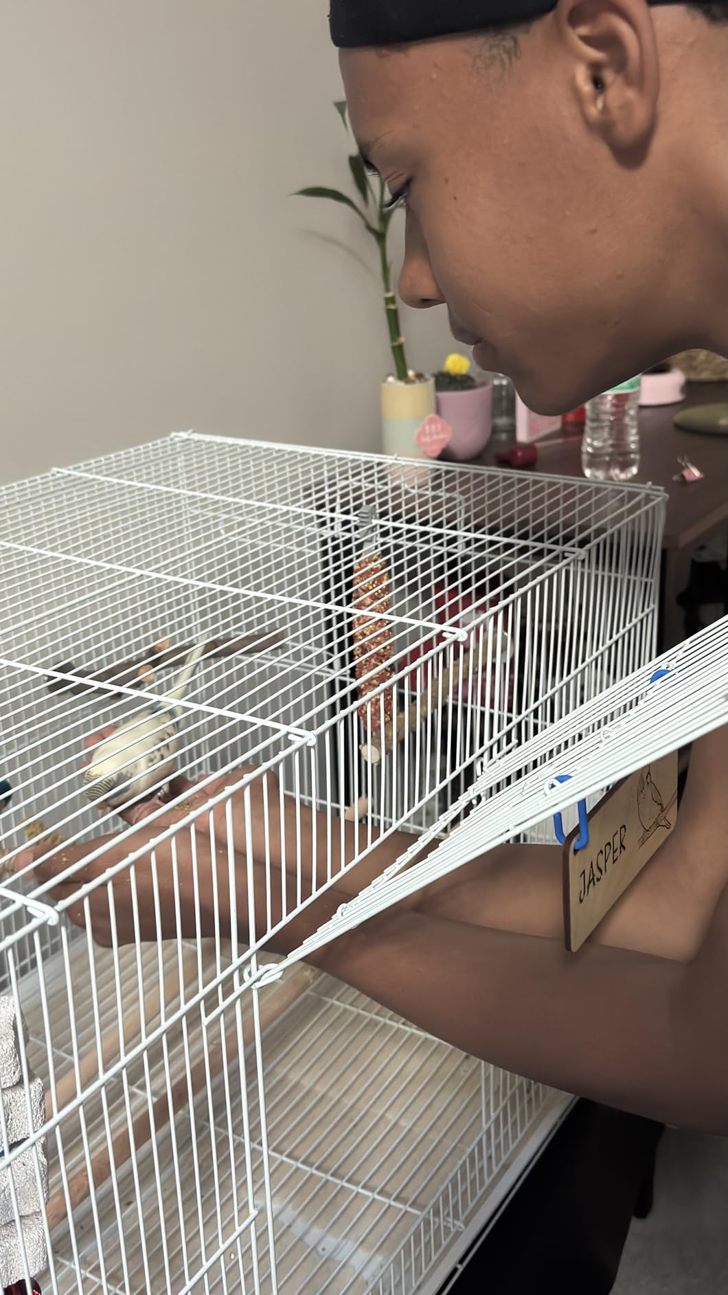 Prevue Pet Products Flight Cage Metal Steel Bird Crate, Multi-Bird Home Stackable Cage for Birds, Home Crate for Extra-Small Pet Parakeets, Finches, and More, White customer photo 2