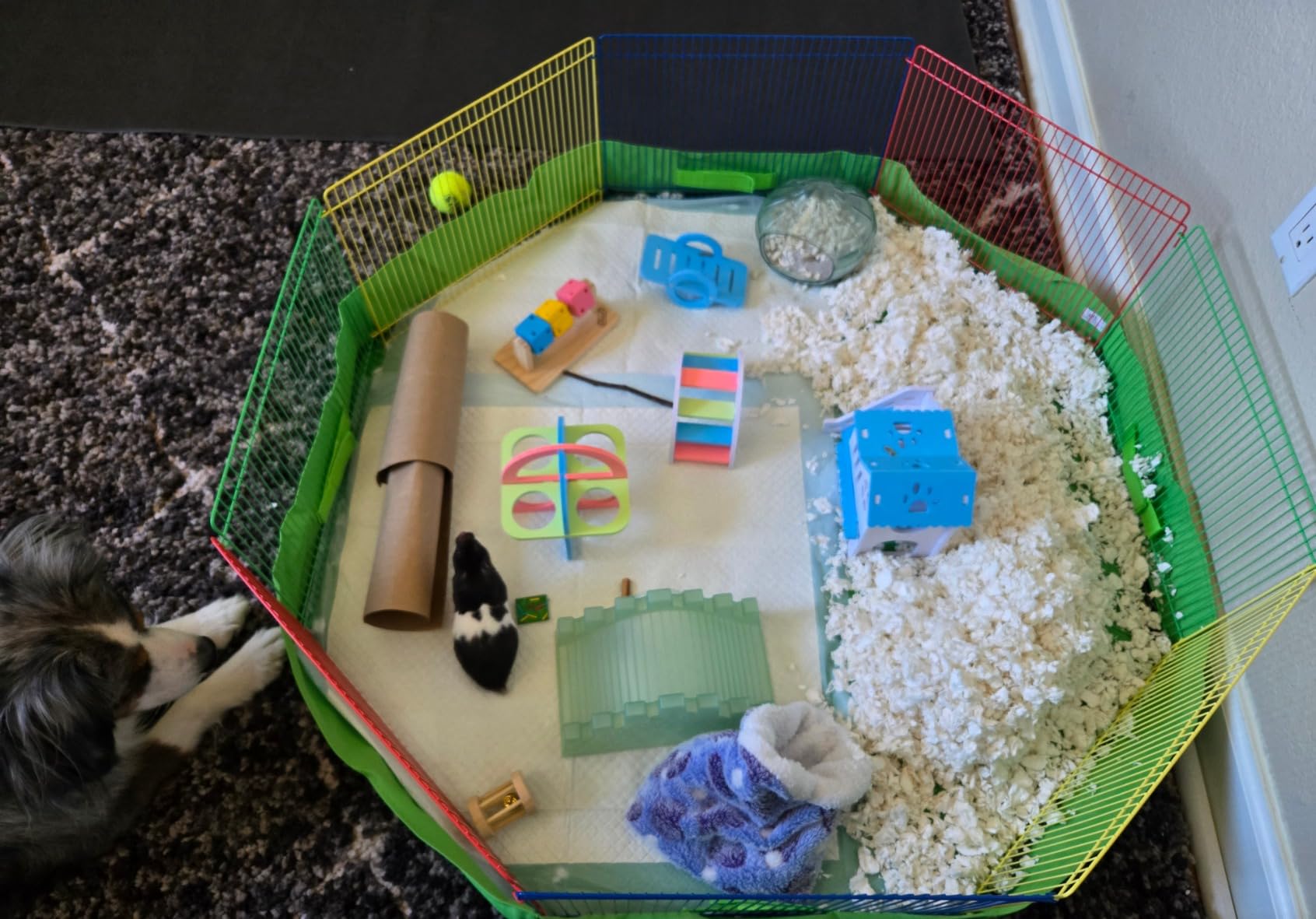 Prevue Pet Products Multi-Color Small Pet Playpen - Multi-Color customer photo 2