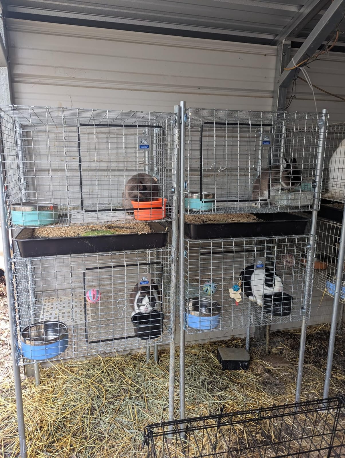 Pet Lodge® Wire Rabbit Hutch | Rust Resistant Galvanized Wire Mesh | Easy to Assemble Stackable Rabbit Cage | Made in USA | 30 X 36 customer photo 1