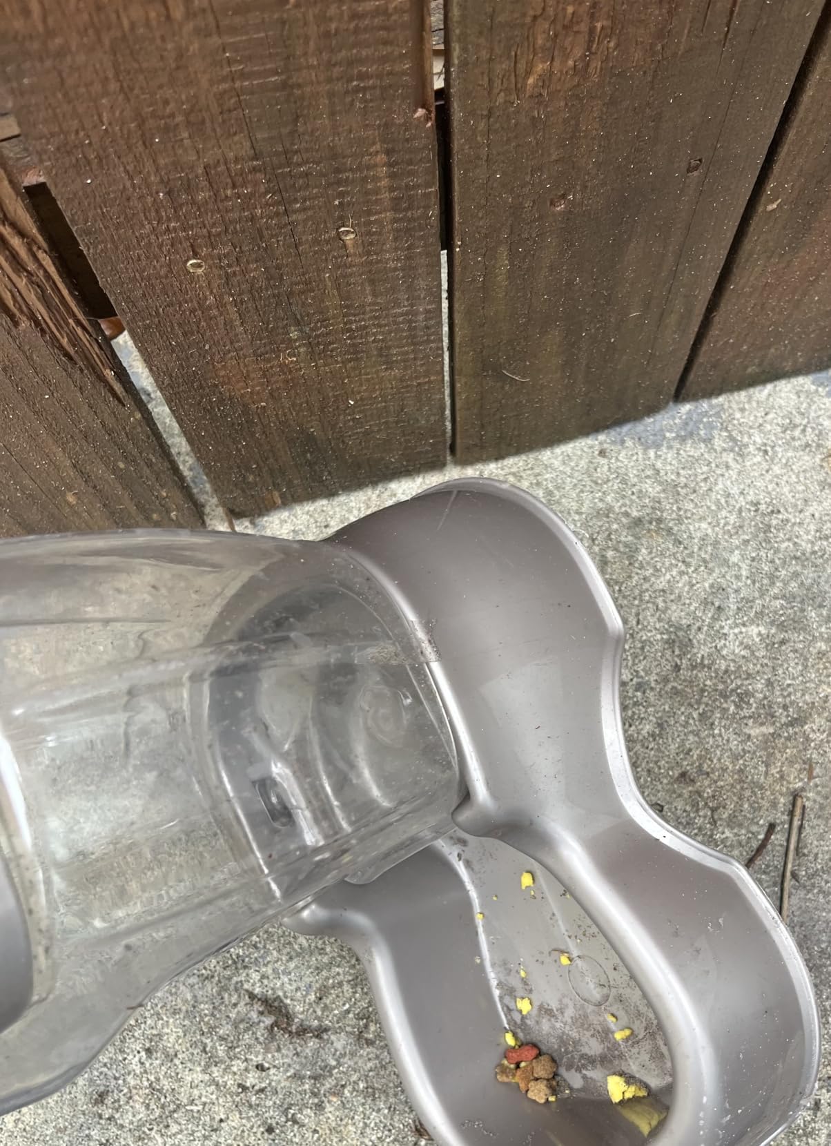 Petmate Pet Cafe Feeder for Dogs and Cats, Pearlescent customer photo 1