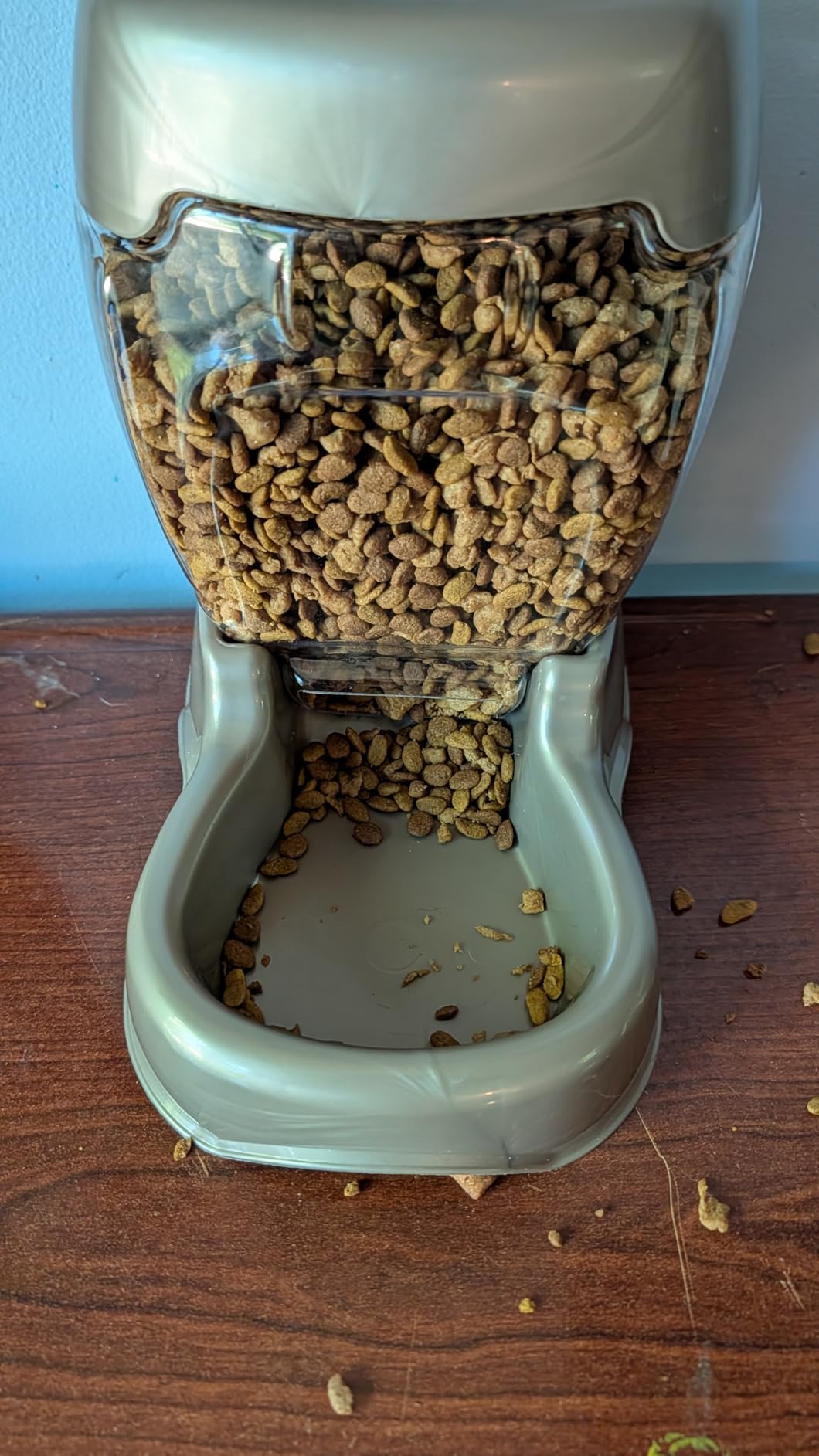 Petmate Pet Cafe Feeder for Dogs and Cats, Pearlescent customer photo 2