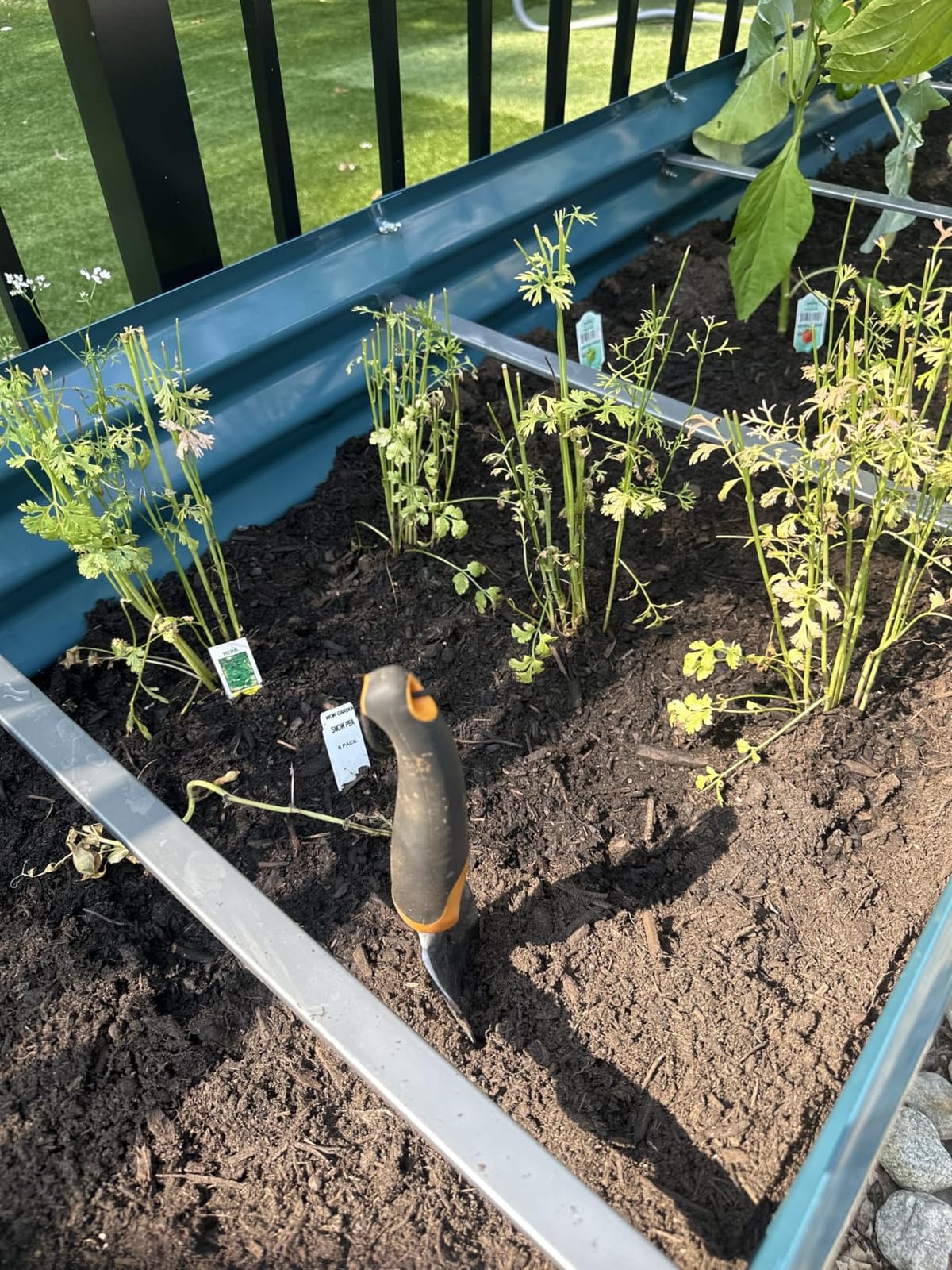 Fiskars Ergo Garden Trowel, Heavy Duty Hand Tool for Digging and Planting customer photo 2
