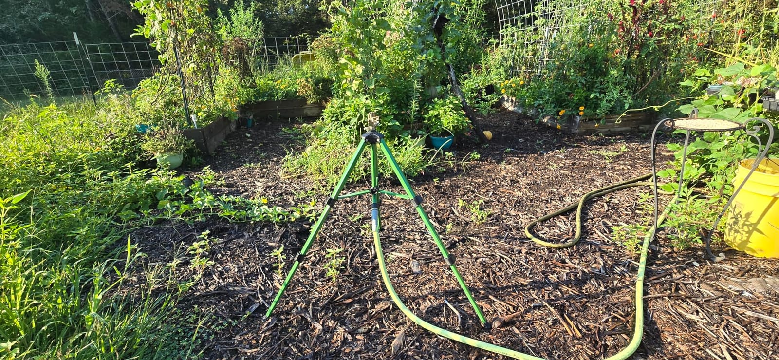 Orbit Tripod Zinc Impact Sprinkler, Adjustable Height - 56667 customer photo 2