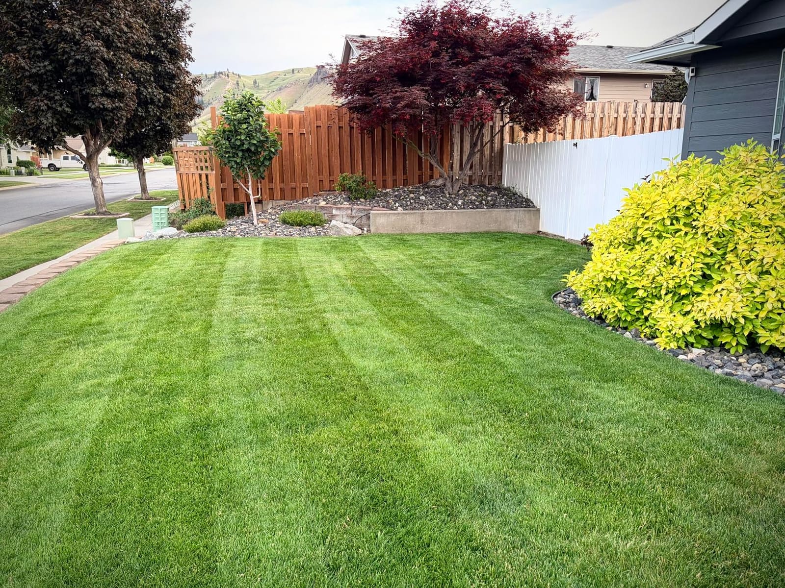 EGO AR2100 21inch Mower Striping Kit for EGO 21inch Walk Behind Mowers customer photo 1