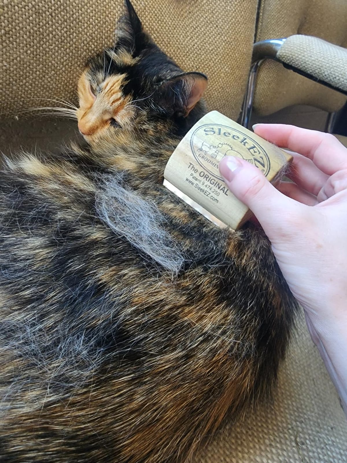 SleekEZ Cat Brush for Shedding - Deshedding Brush for Cats - Patented Grooming Tool for Removing Loose Fur, Undercoat & Hair - Made in USA - Works on Short, Medium & Long Coats customer photo 2