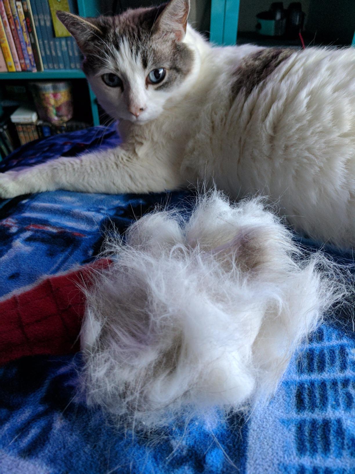 Hertzko Self Cleaning Slicker Brush for Dogs and Cats - Pet Hair Brush for Shedding Long and Short Hair - Easy Clean Retractable Bristles - Cat and Dog Grooming Tool - Purple customer photo 1