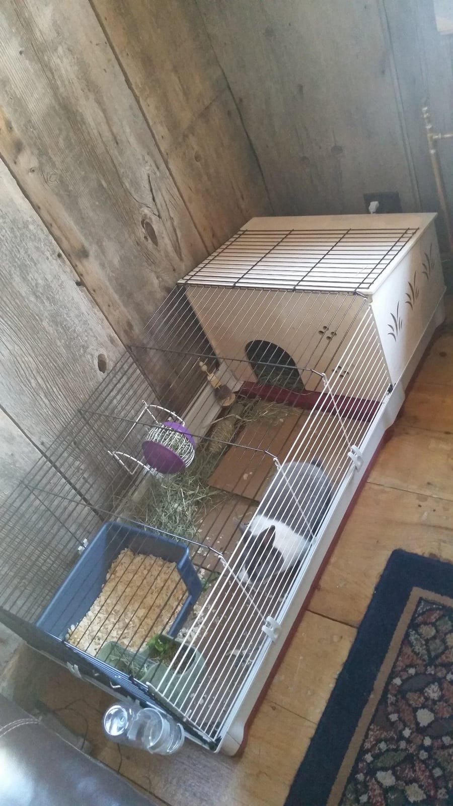 Ferplast Krolik Extra-Large Rabbit Cage w/ Wood Hutch Extension Rabbit Cage Includes All Accessories and Measures 55.9L x 23.62W x 19.68H and Includes ALL Accessories customer photo 2