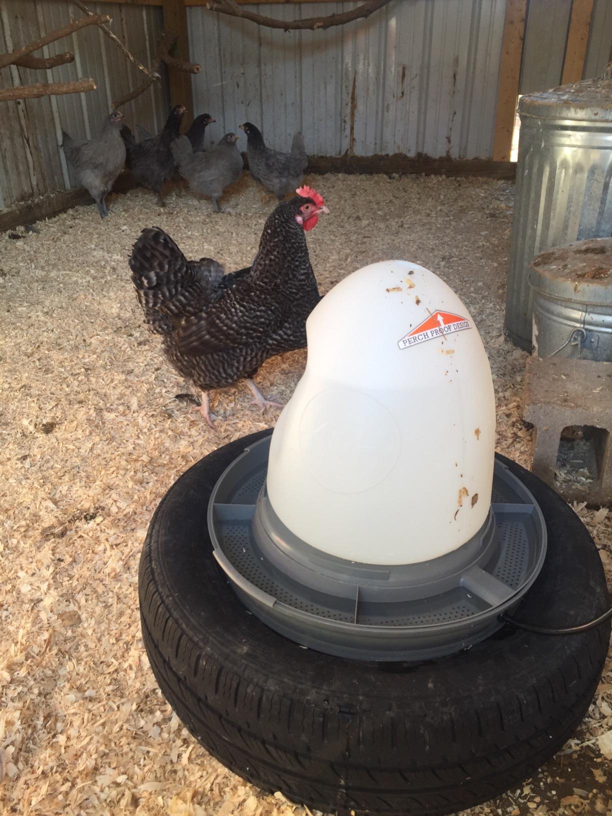 K&H Pet Products Thermo-Poultry Waterer 2.5gal. (Heated) Gray 60 Watts - No Roost Top & Non-Spill Refill customer photo 2