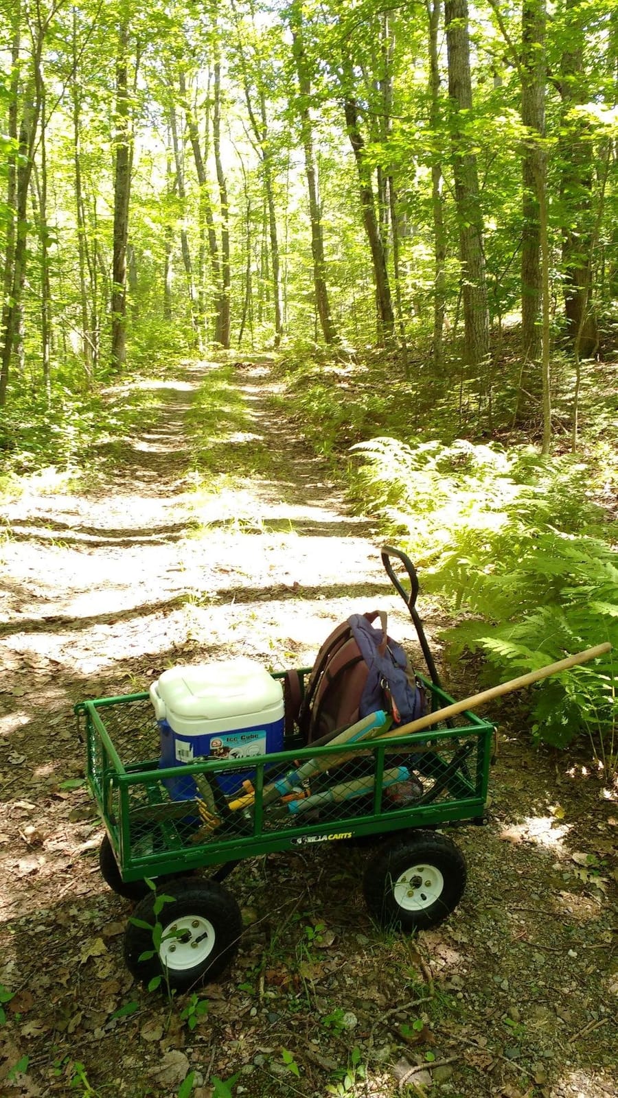 Gorilla Carts GOR400-COM Steel Garden Cart, Steel Mesh Removable Sides, 3 cu ft, 400 lb Capacity, Green customer photo 2
