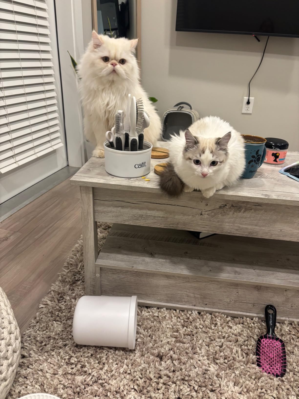 Catit Senses 2.0 Long Hair Cat Grooming Kit customer photo 2