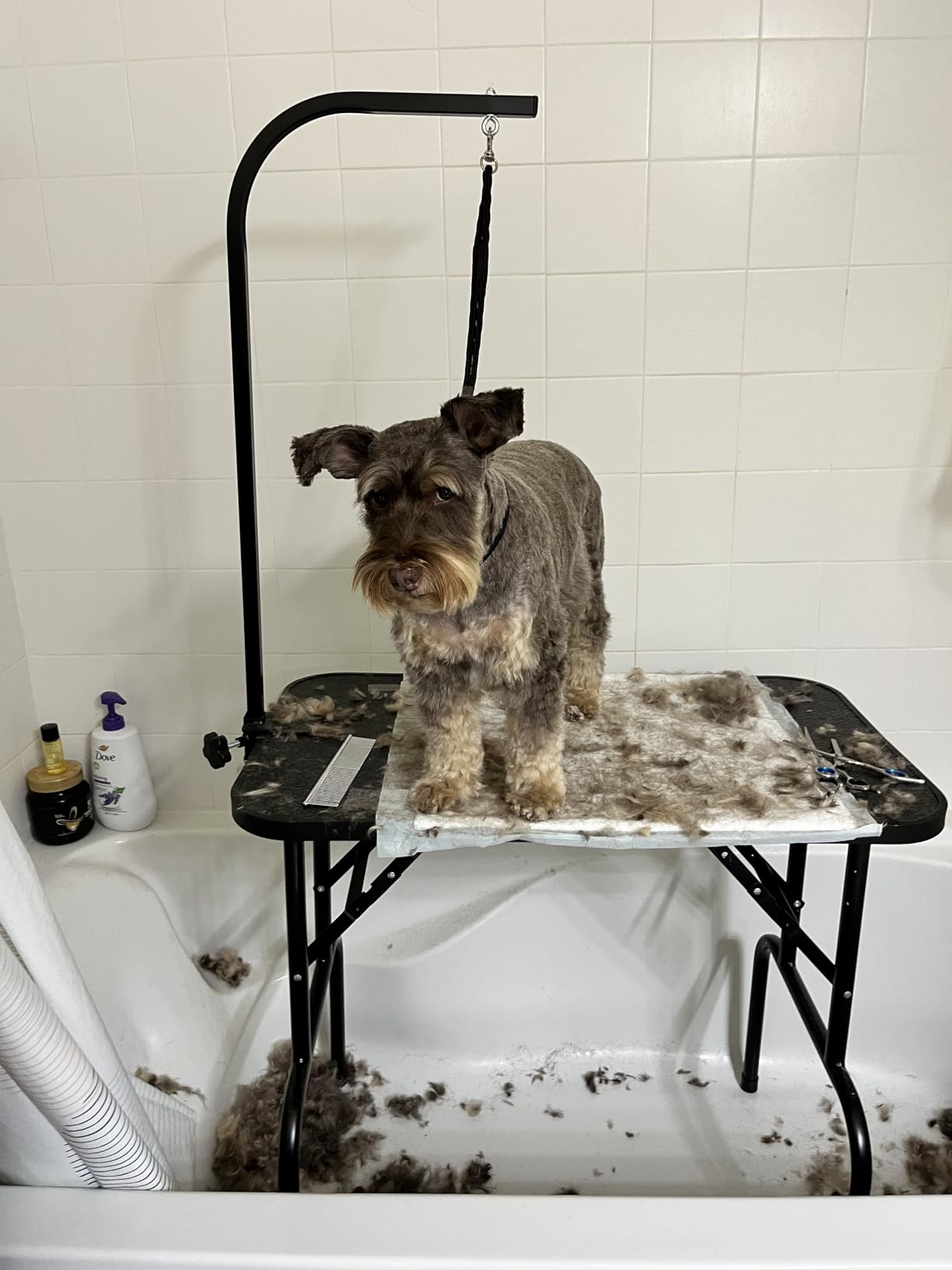 Yaheetech 32 Inch Sturdy Dog Grooming Table for Home, Black customer photo 1