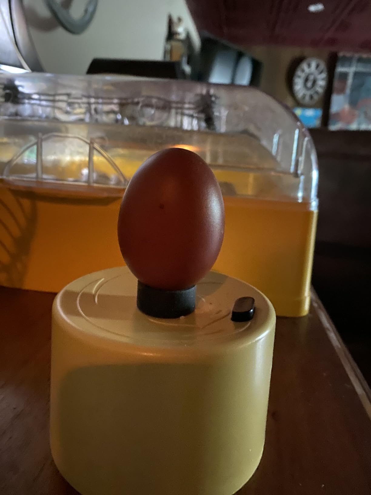 Titan Incubators High Intensity LED Chicken Egg Candler/Tester – Battery Powered customer photo 1
