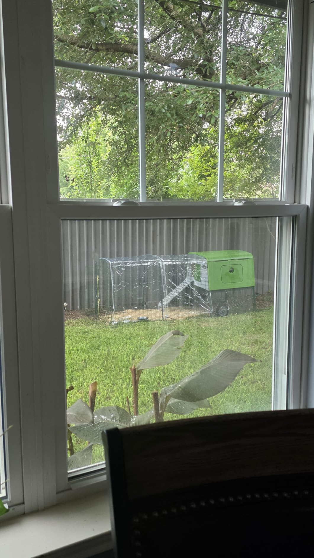 Omlet Eglu Cube Large Chicken Coop | Easy to Clean Plastic Chicken Tractor | The Most Secure Hen House for Complete Peace of Mind | Weatherproof Cool in Summer and Warm in Winter | Green customer photo 2