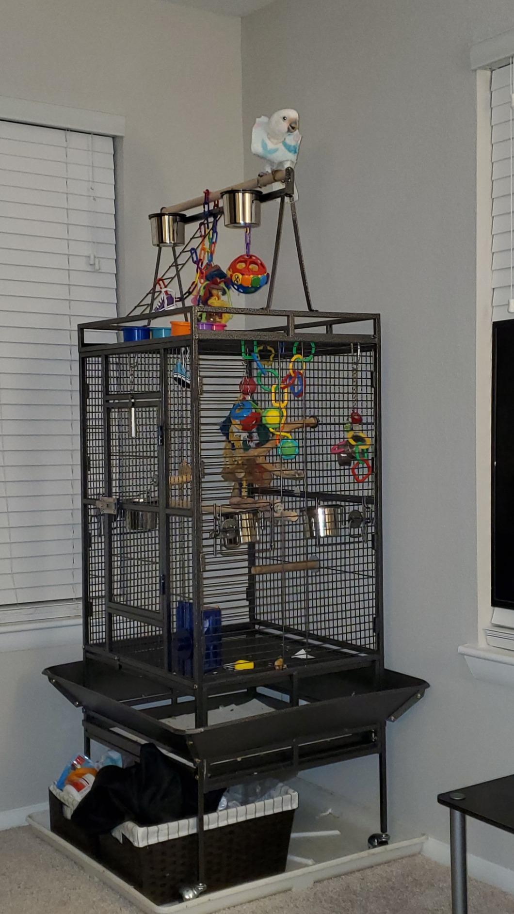 Nova Microdermabrasion 61 Inches Large Bird Cage Play Top Parrot Cockatiel Parakeet Chinchilla Macaw Cockatoo Cage W/Stand Perch Pet Supplies customer photo 1