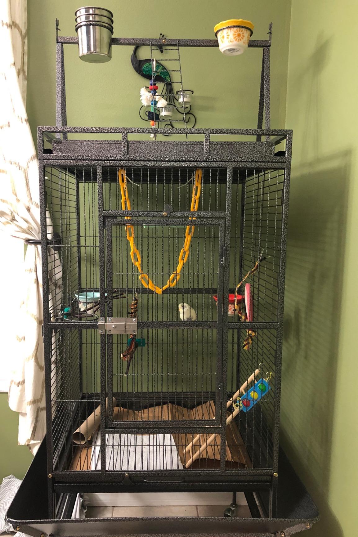 Nova Microdermabrasion 61 Inches Large Bird Cage Play Top Parrot Cockatiel Parakeet Chinchilla Macaw Cockatoo Cage W/Stand Perch Pet Supplies customer photo 2