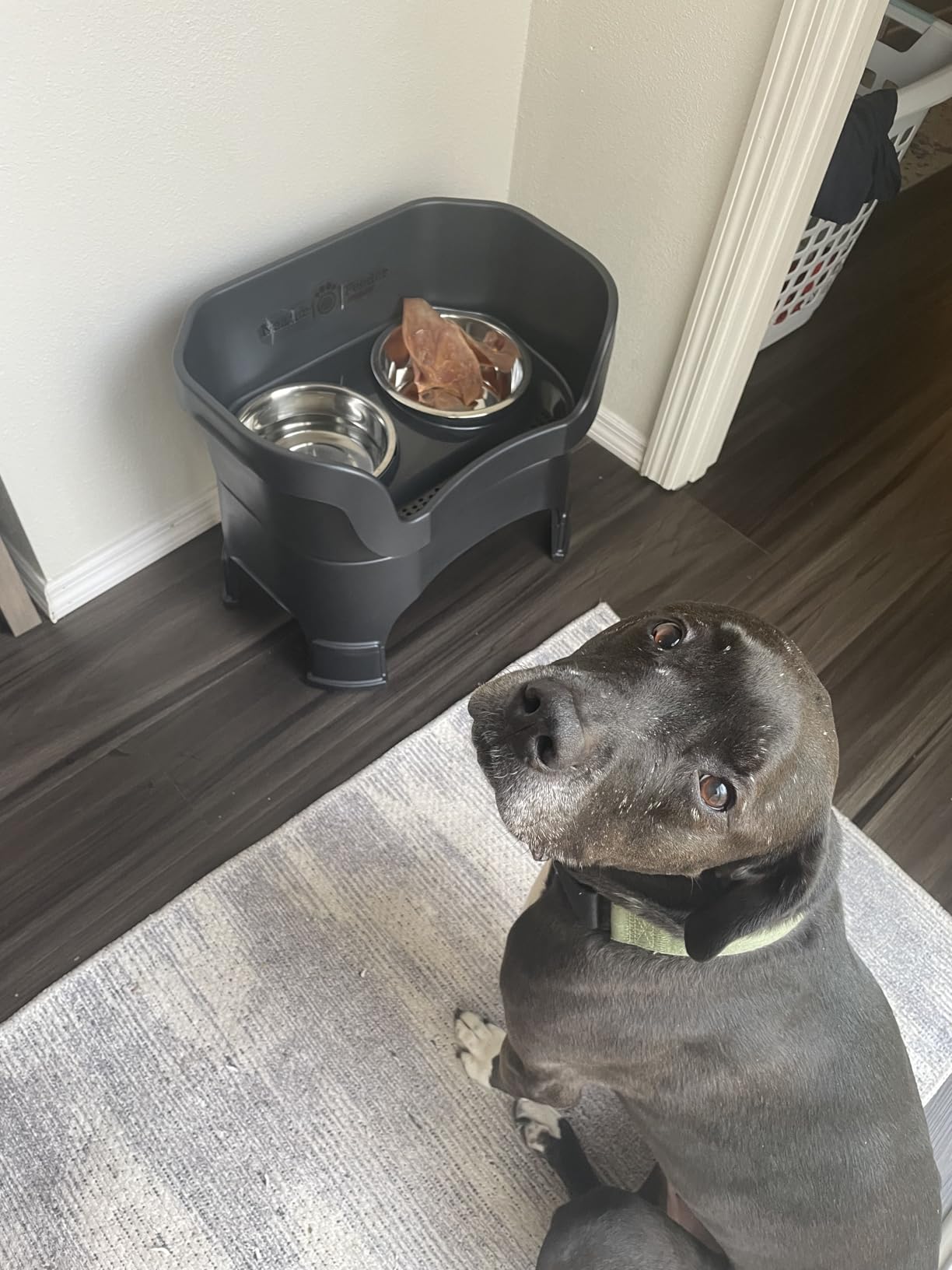 Neater Feeder Deluxe Mess-Proof Elevated Dog Bowls for Large Dogs (40+ lbs), 2 Height Adjustable (14.5” & 17.5”) No-Spill Raised Dog Bowl Stand, Stainless Steel Food Bowl Set, Made in USA, Black customer photo 2