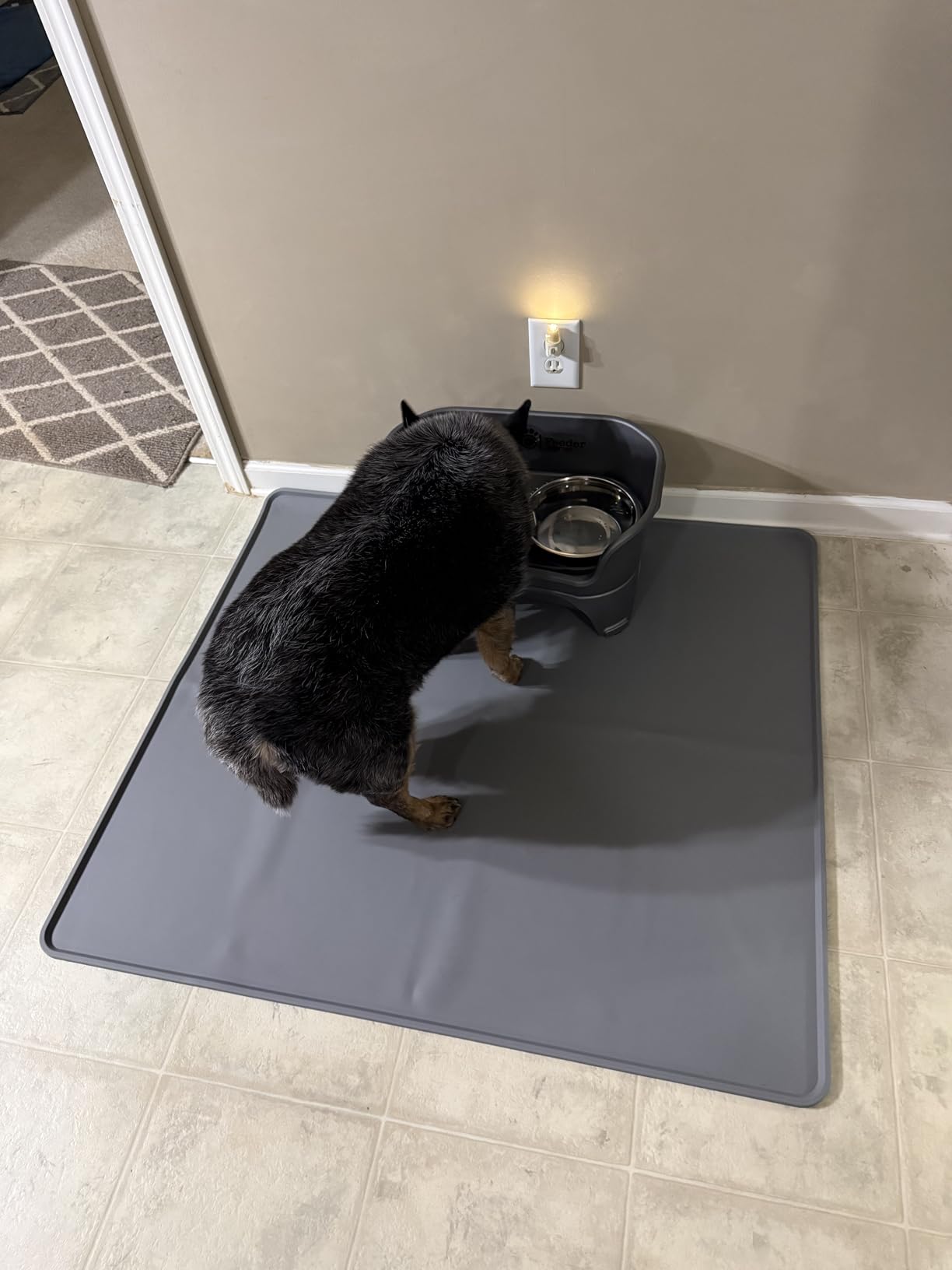 Neater Feeder Express Mess Proof Dog Bowls Elevated for Medium to Large Sized Breed, No Spill Raised Dog Food Bowl Stand, Stainless Steel Food and Water Bowl Set, Pet Dish Feeding Station, Grey customer photo 2