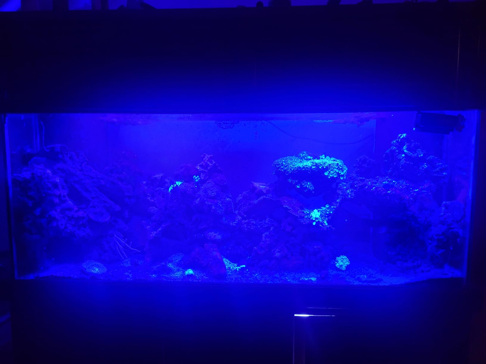 Wills Aquarium Light, 100W Full Spectrum LED Reef Lights, 16