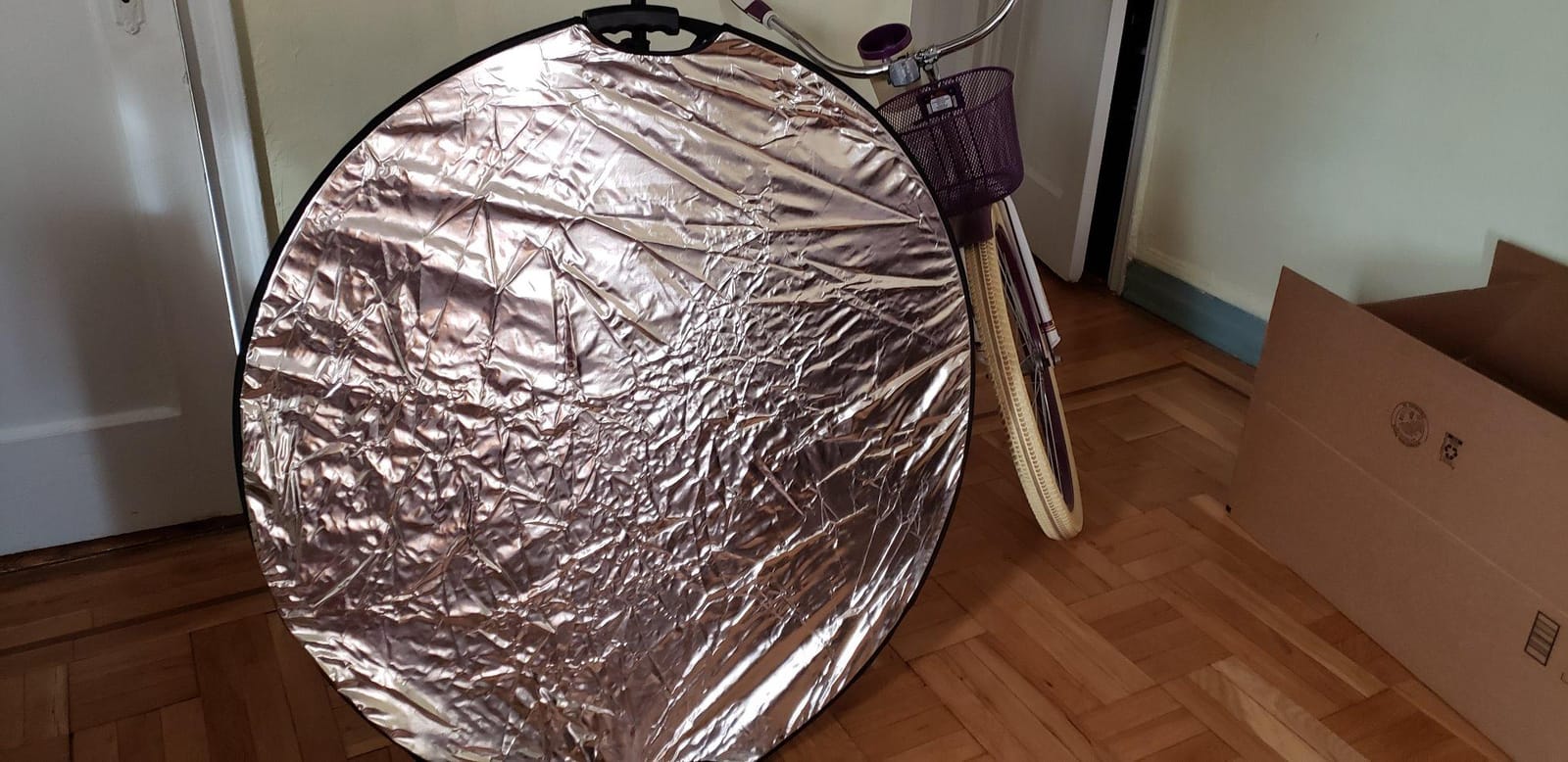 Selens Portable 5-in-1 24 in / 60 cm Handle Round Reflector Collapsible customer photo 1