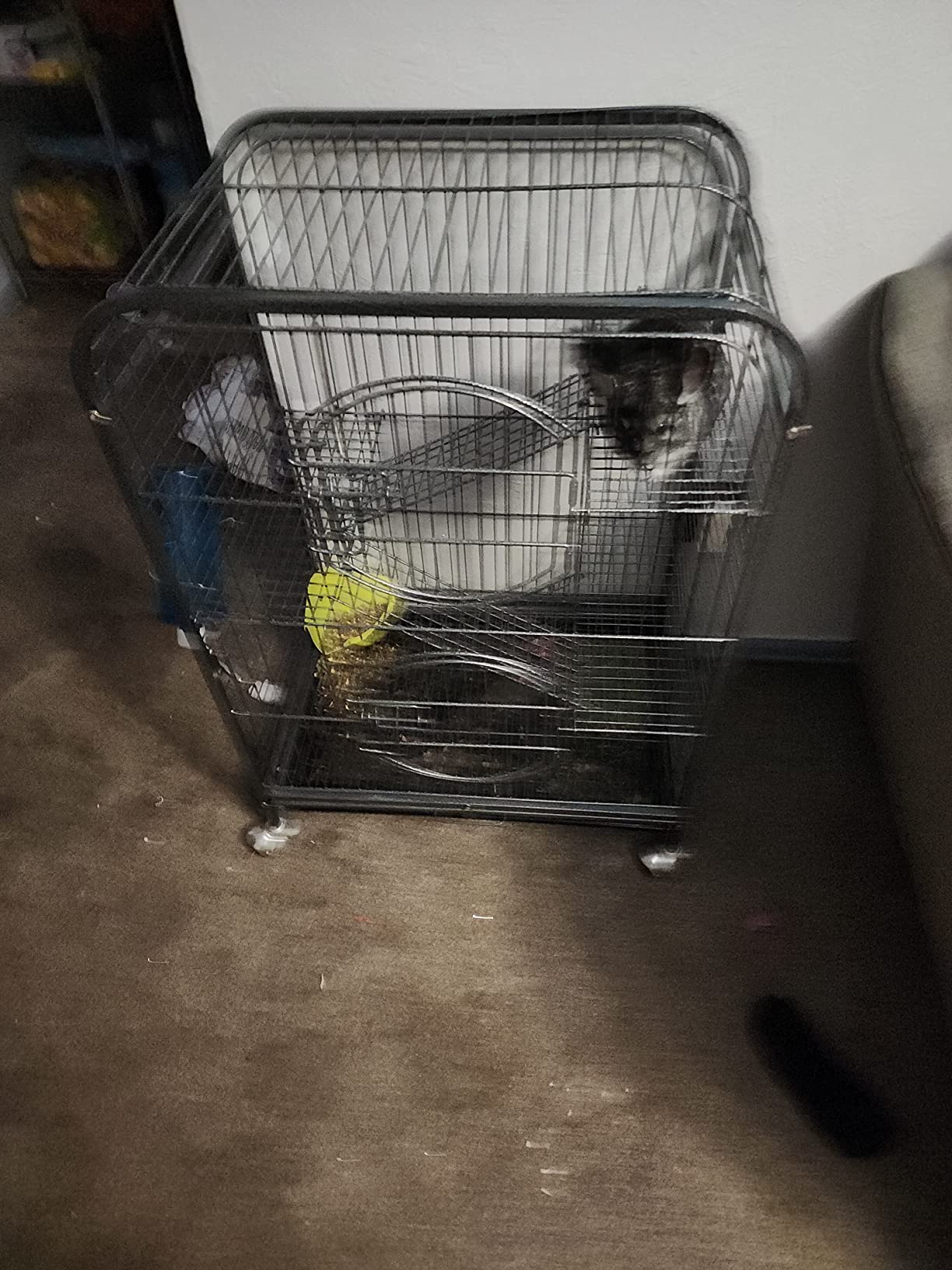 SUPER DEAL 37.2 Inches Metal Ferret Cage Chinchilla 4 Tiers Small Animal Cage with 3 Ladders/ 2 Front Doors/Food Bowl/Water Bottle/Slide Out Trays/Swivel Casters,Black customer photo 1