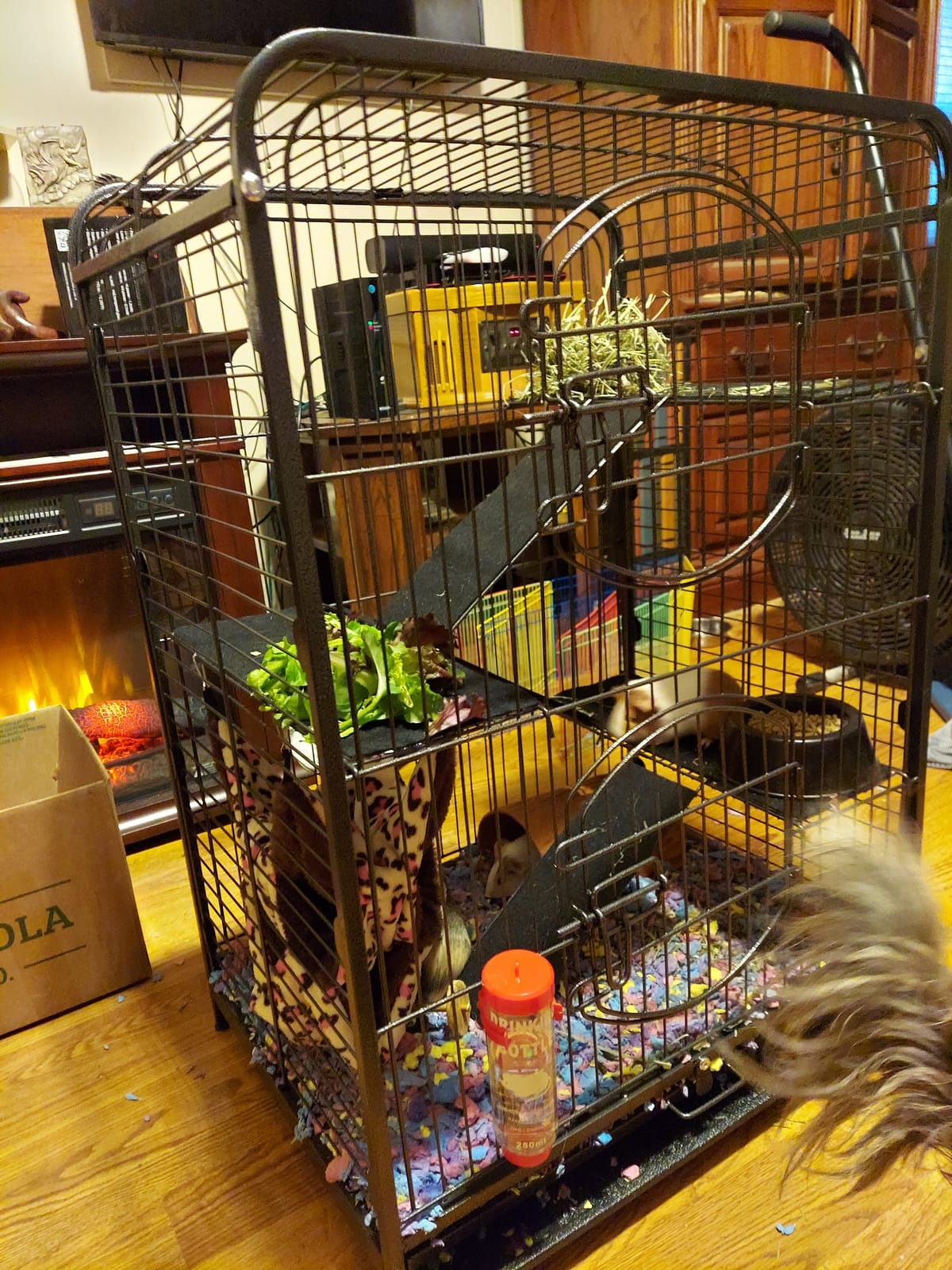 SUPER DEAL 37.2 Inches Metal Ferret Cage Chinchilla 4 Tiers Small Animal Cage with 3 Ladders/ 2 Front Doors/Food Bowl/Water Bottle/Slide Out Trays/Swivel Casters,Black customer photo 2