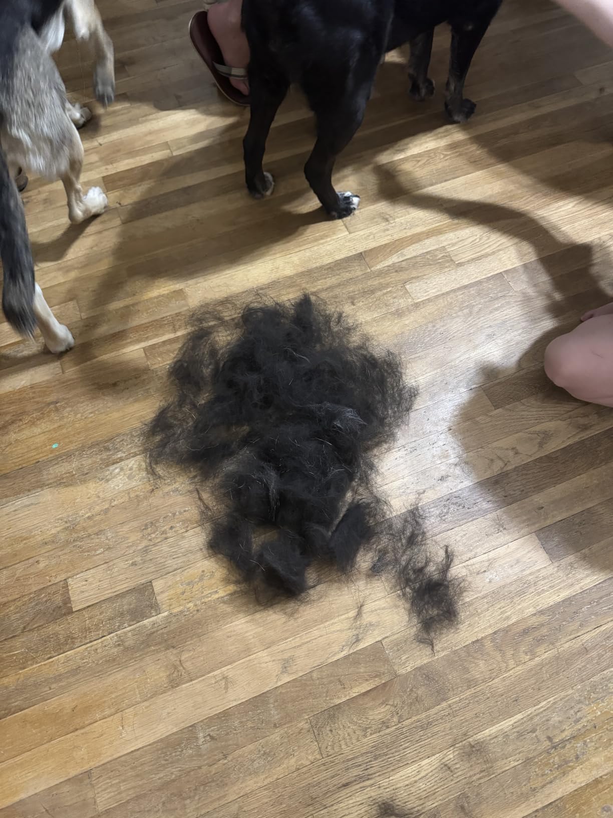 FURminator Large Dog Undercoat deShedding Tool for Long Hair customer photo 1