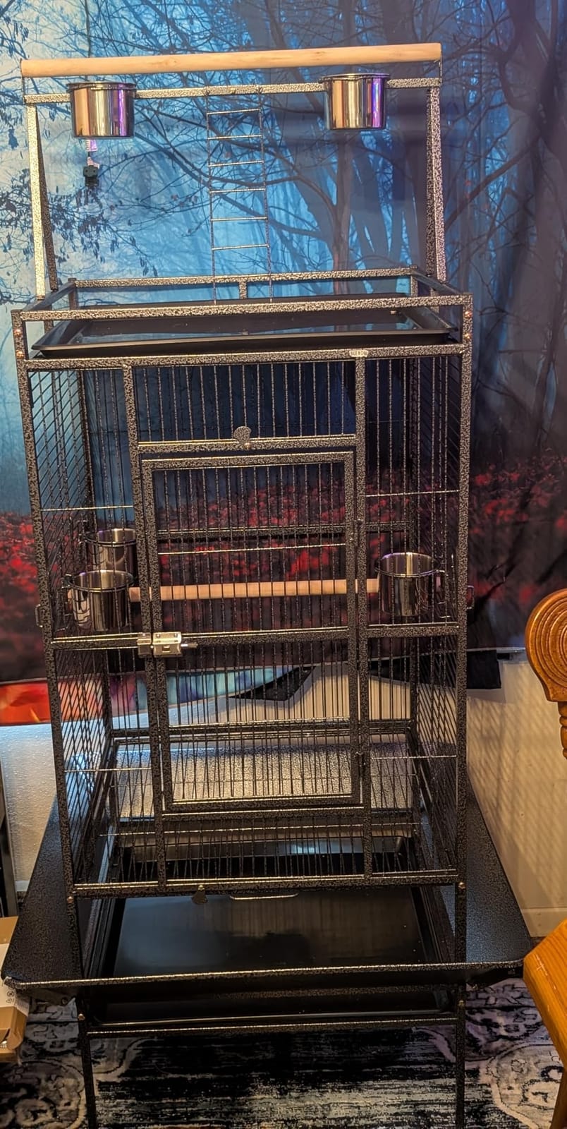 ZENY 68-Inch Birdcage, Playtop Parrot Cage, Wrought Iron Bird Cage with Rolling Stand, Heavy-Duty Pet Bird House for Parrot Cockatiel Cockatoo Parakeet Macaw Finches, Black customer photo 2