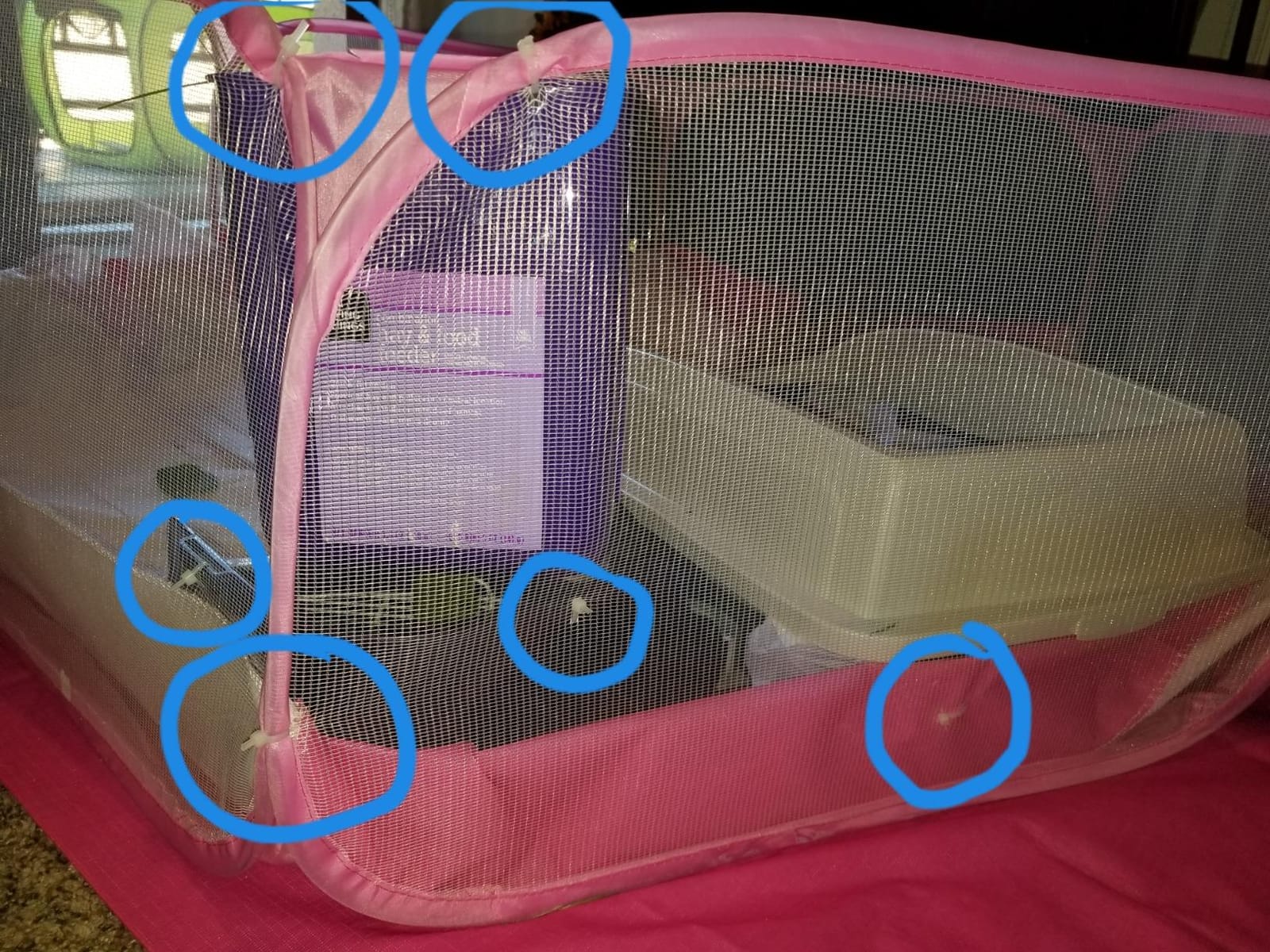 Amakunft Small Animal Playpen, Pop-Up Portable Play Yard for Guinea Pigs, Rabbits, Hamsters, Hedgehogs, Foldable Exercise Fence with Breathable Mesh for Indoor Outdoor Use customer photo 2