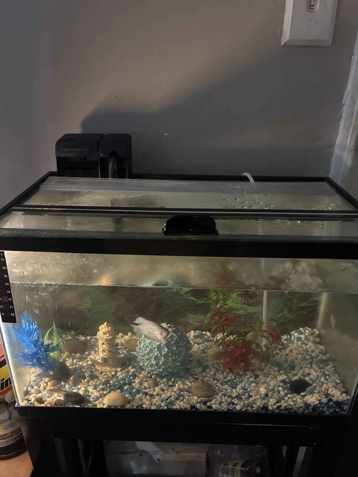 HITOP Dual Outlet Aquarium Electric Air Pump, Whisper Adjustable Fish Tank Aerator, Quiet Oxygen Pump with Accessories for 10 to 100 Gallon customer photo 2