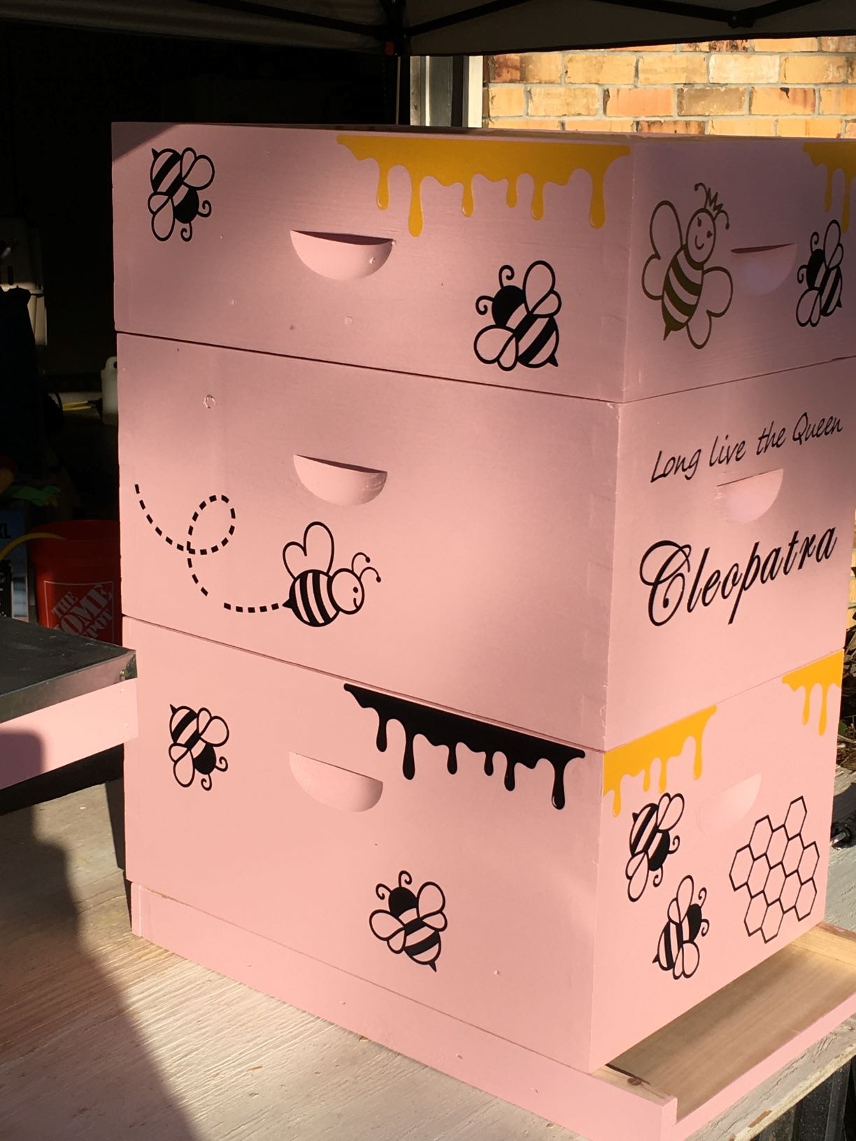 NuBee 8-Frame Beehive Kit – Unassembled Langstroth Hive with 2 Deep & 1 Medium Boxes, Frames & 100% Wax-Coated Foundations | Lightweight Fir & Pine Construction customer photo 2