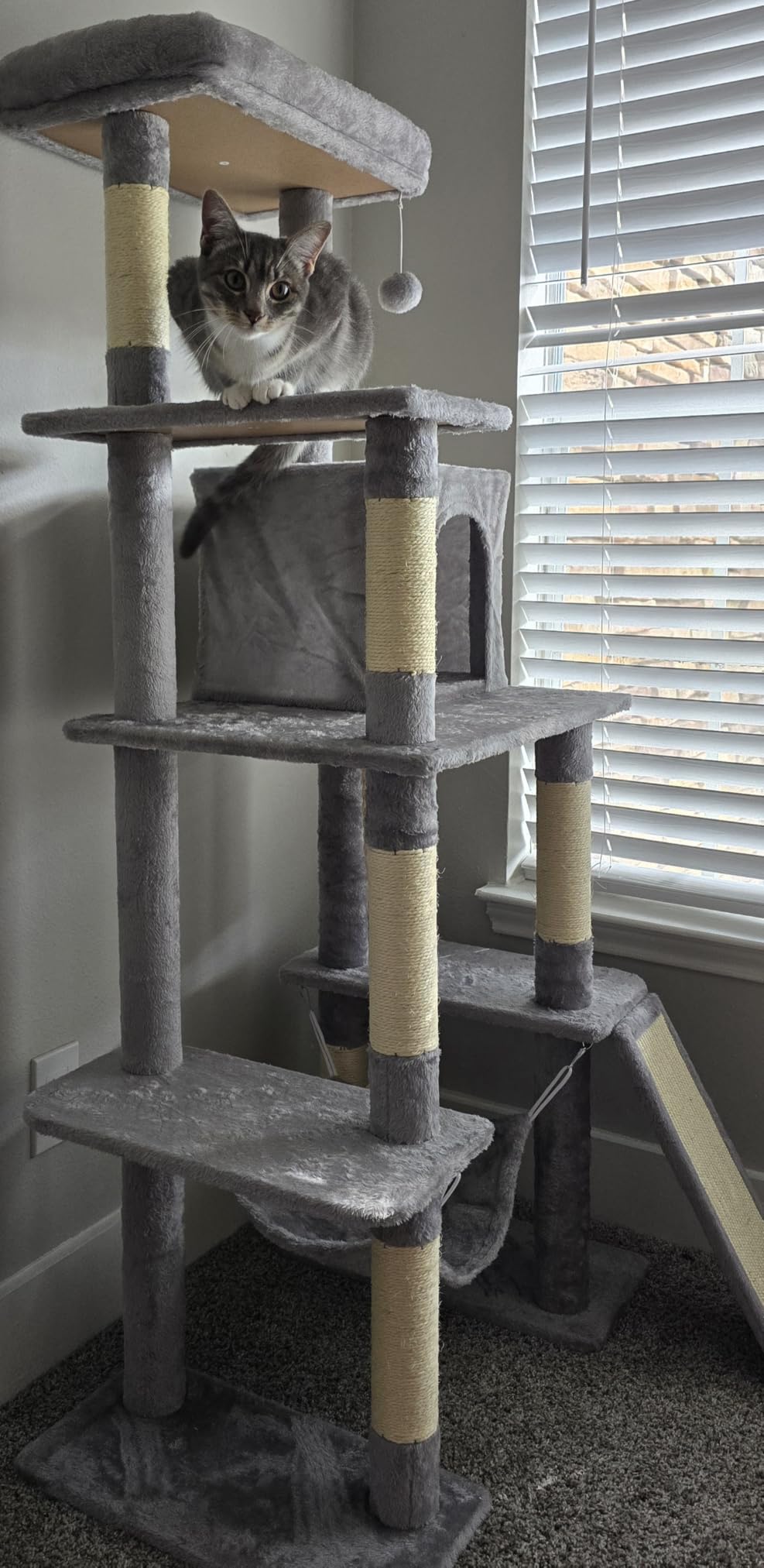 Yaheetech 63in Sturdy Large Cat Tree for Indoor Heavy Cats, Tall Tower customer photo 2