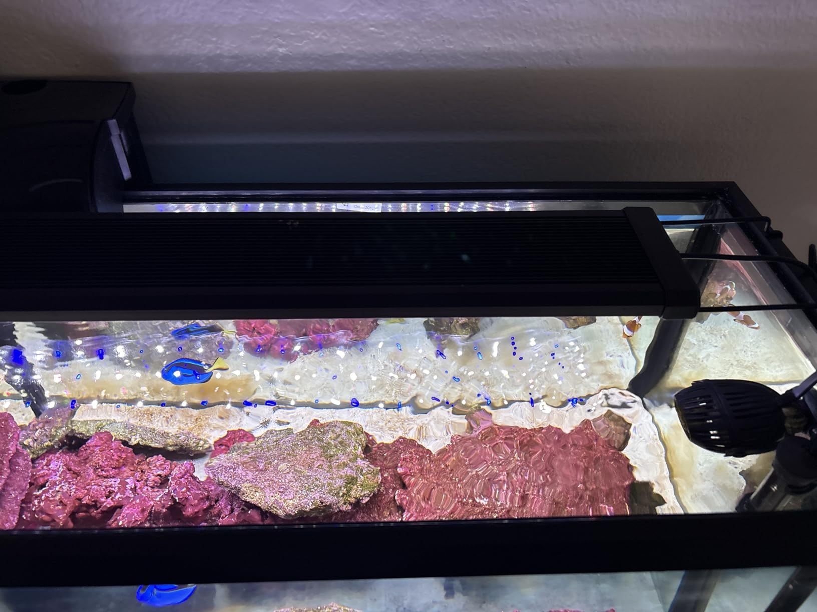 NICREW 32W Saltwater Aquarium Light, Marine LED Reef Light for Corals, Programmable Timer Controller, 30 to 36-Inch customer photo 1