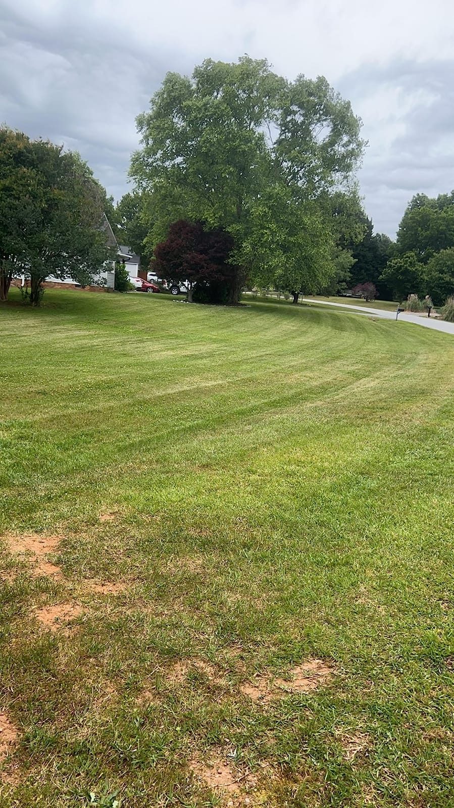 John Deere Grass Groomer-42 Accel-Z300 - LP63763 customer photo 1