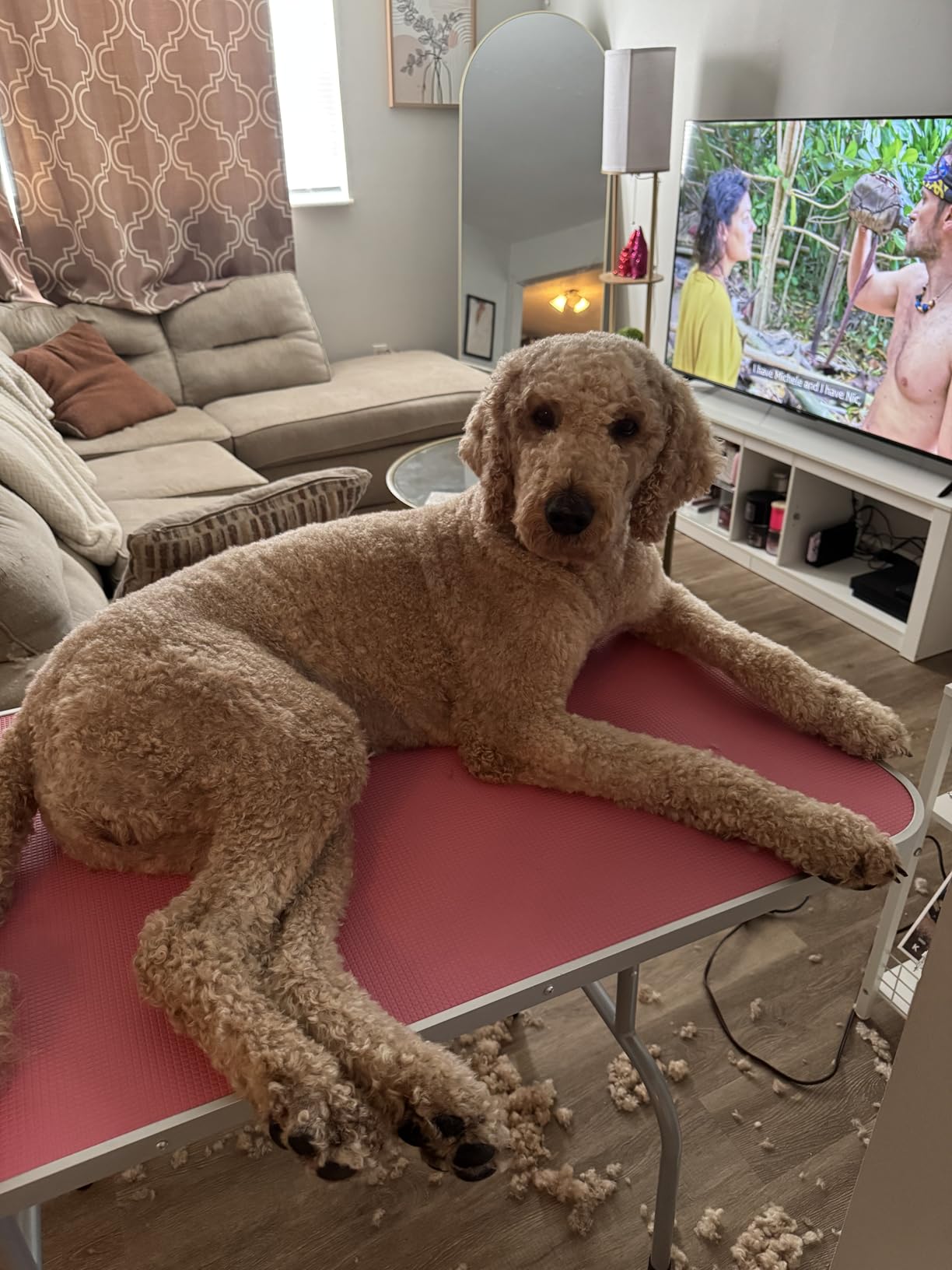 Yaheetech 46'' Dog Grooming Table for Large Medium Dogs at Home, Black customer photo 1