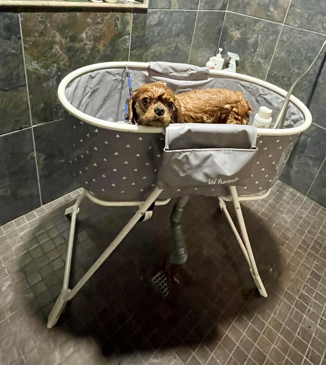 Furesh Portable Foldable Dog Bathtub for Small & Medium Dogs (Gray) customer photo 1