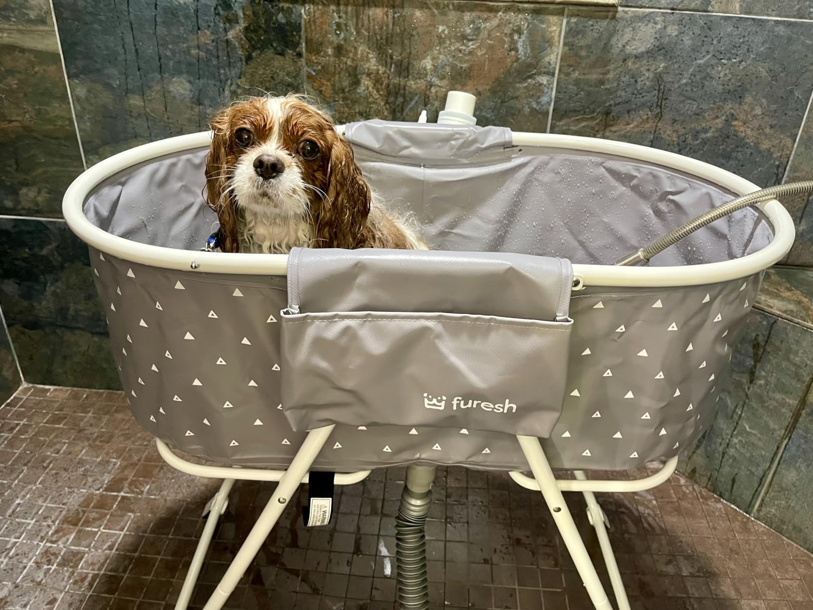 Furesh Portable Foldable Dog Bathtub for Small & Medium Dogs (Gray) customer photo 2