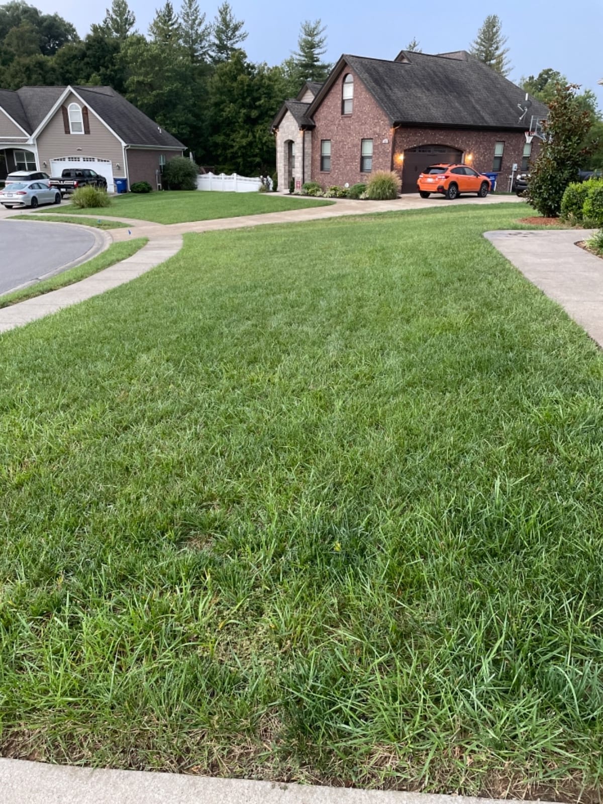Covington Liquid Lawn Aerator (32oz) – Soil Conditioner & Softener for Lawns & Gardens – Loosens Clay & Compacted Soil for Better Water & Nutrient Absorption – Liquid Aeration Concentrate, Made in USA customer photo 1