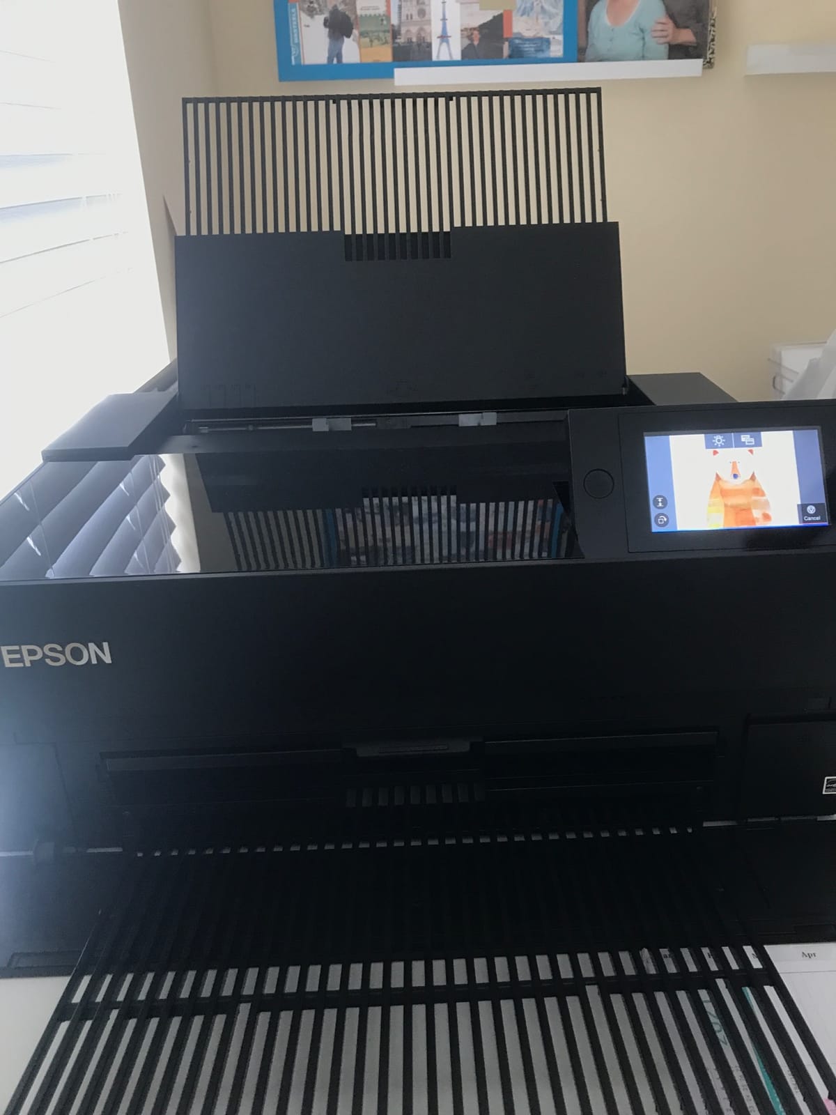 Epson SureColor P700 13-Inch Photo Printer with UltraChrome PRO10 Ink customer photo 2